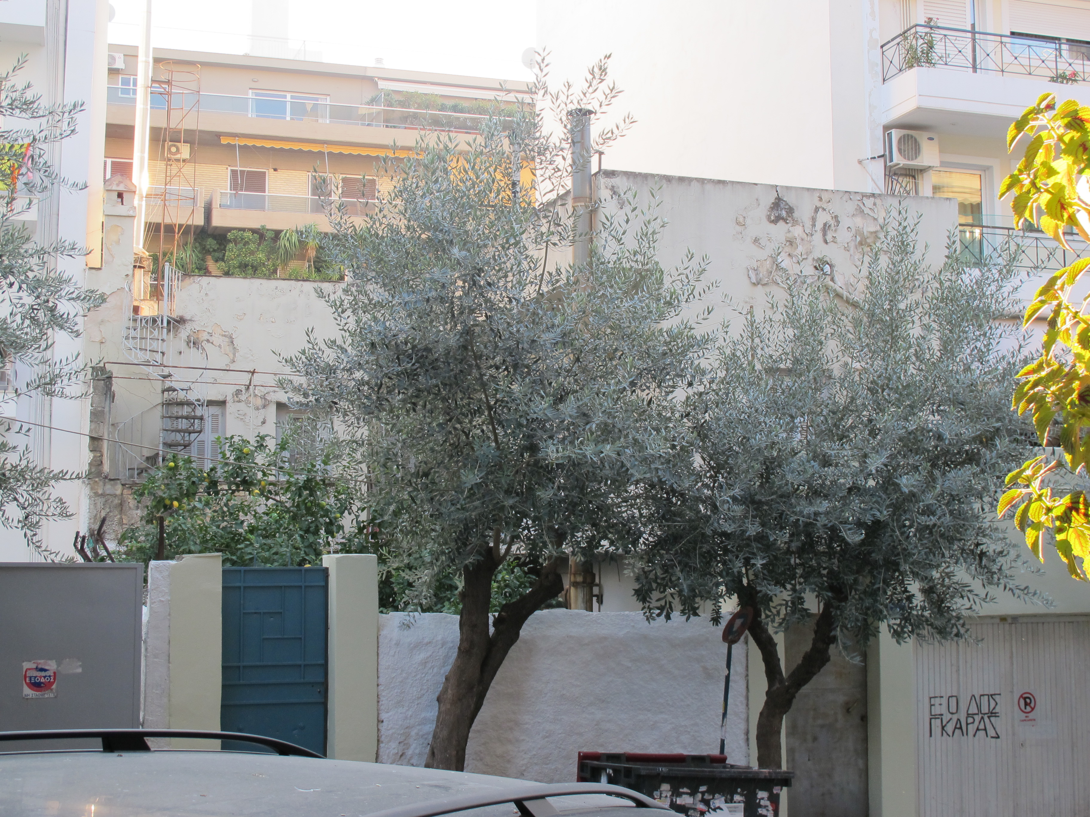Γενική πίσω όψης