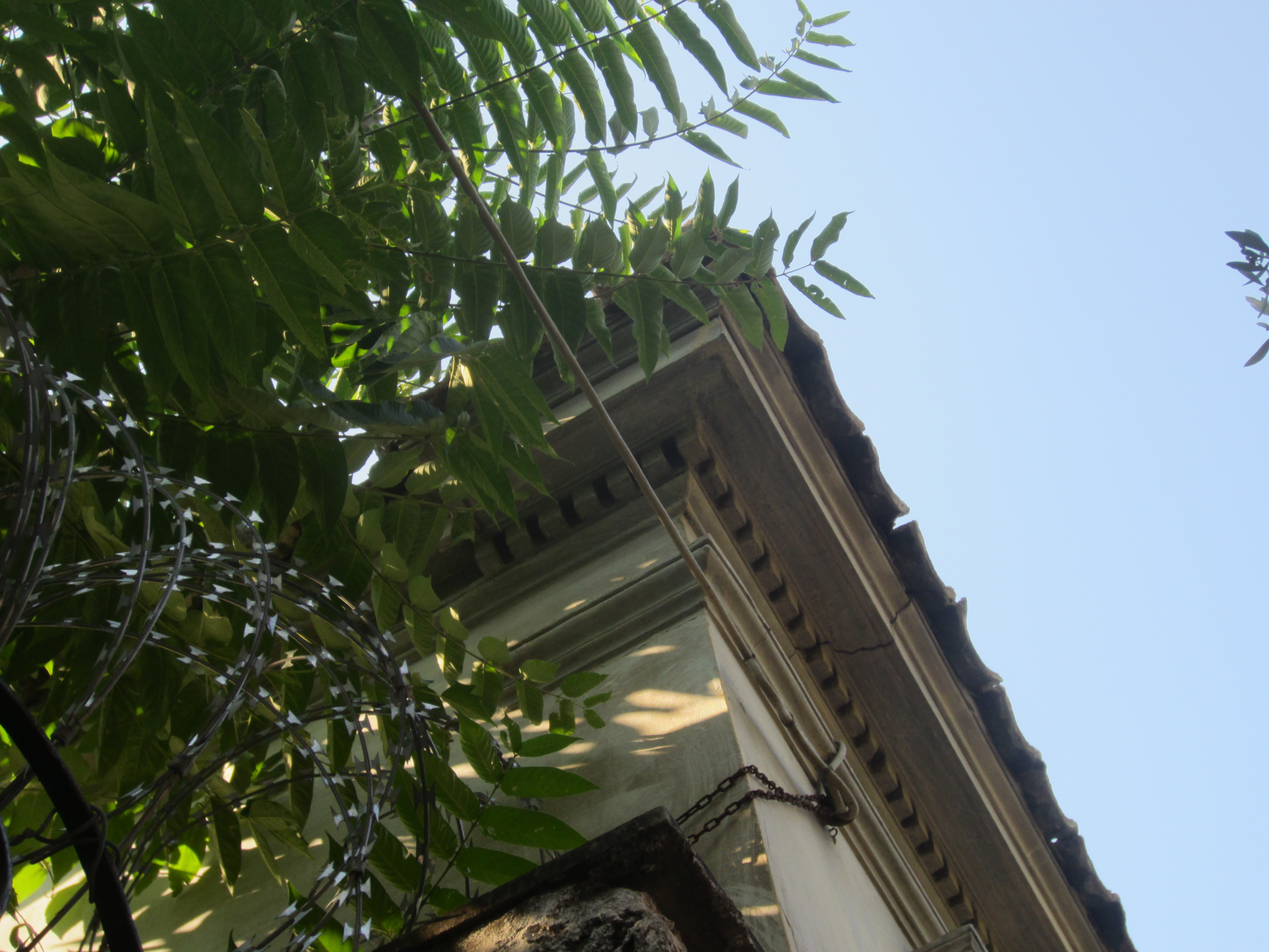 Detail of the roof cornice