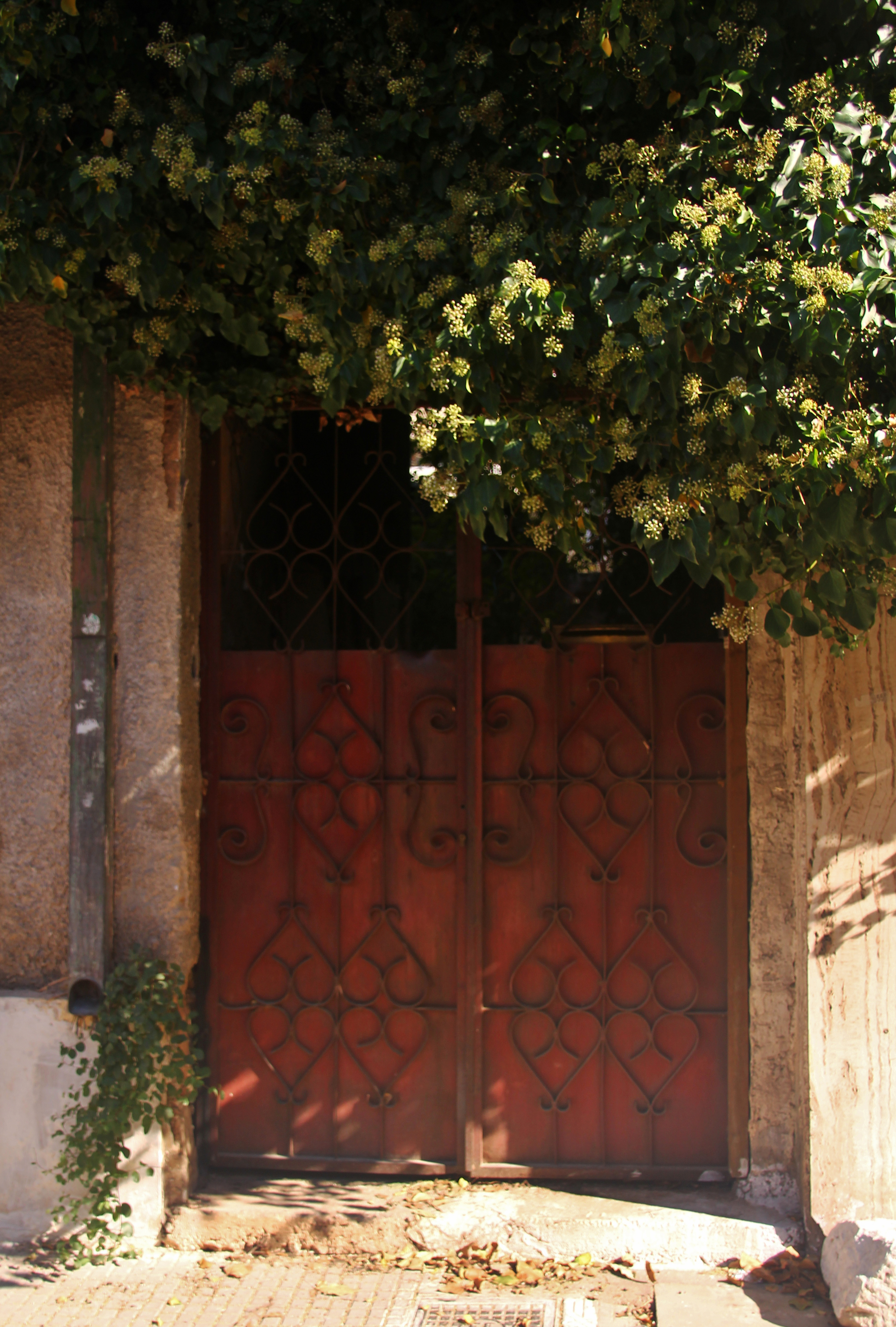 View of the yard door