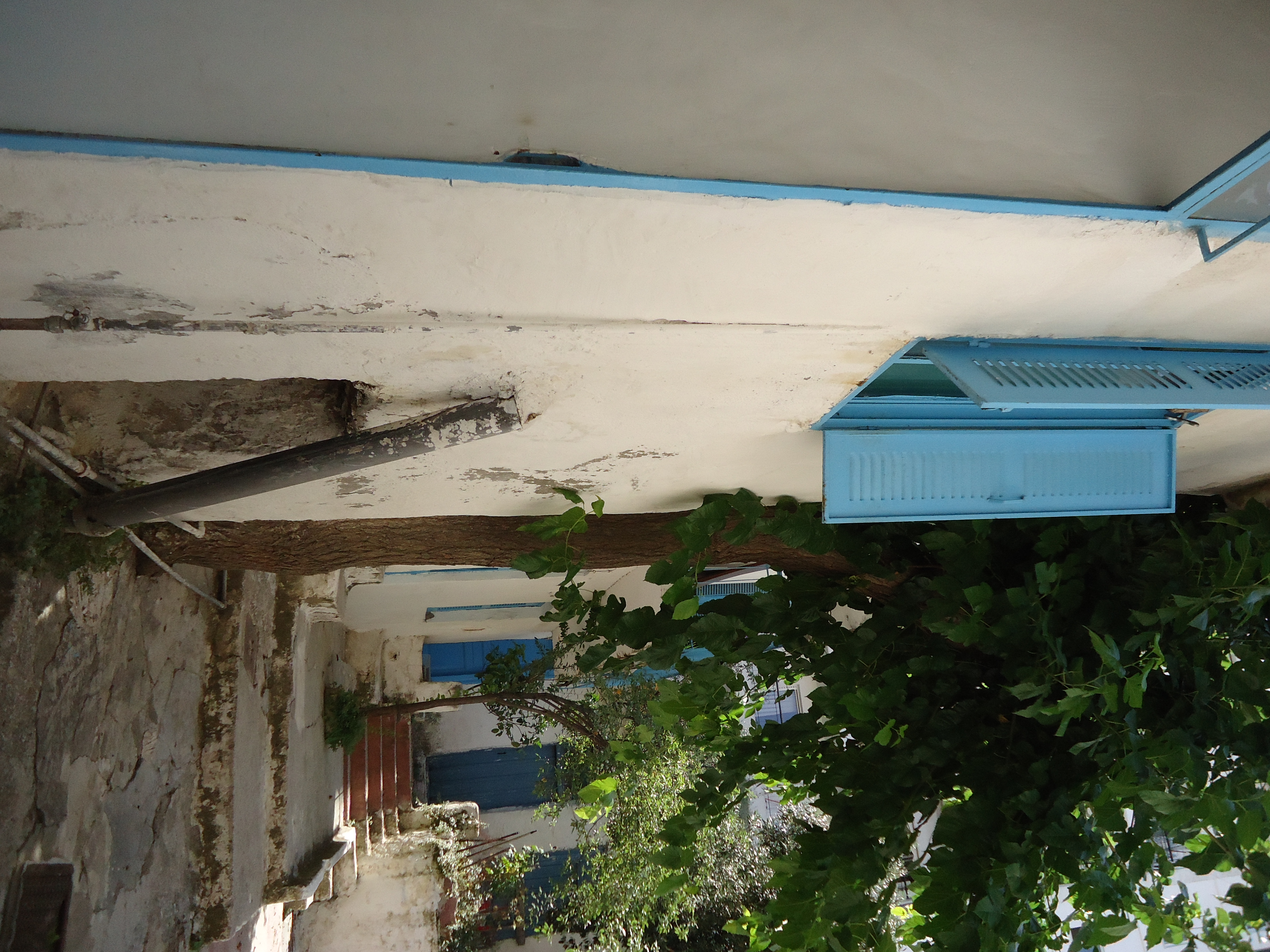 Λεπτομέρεια αυλής