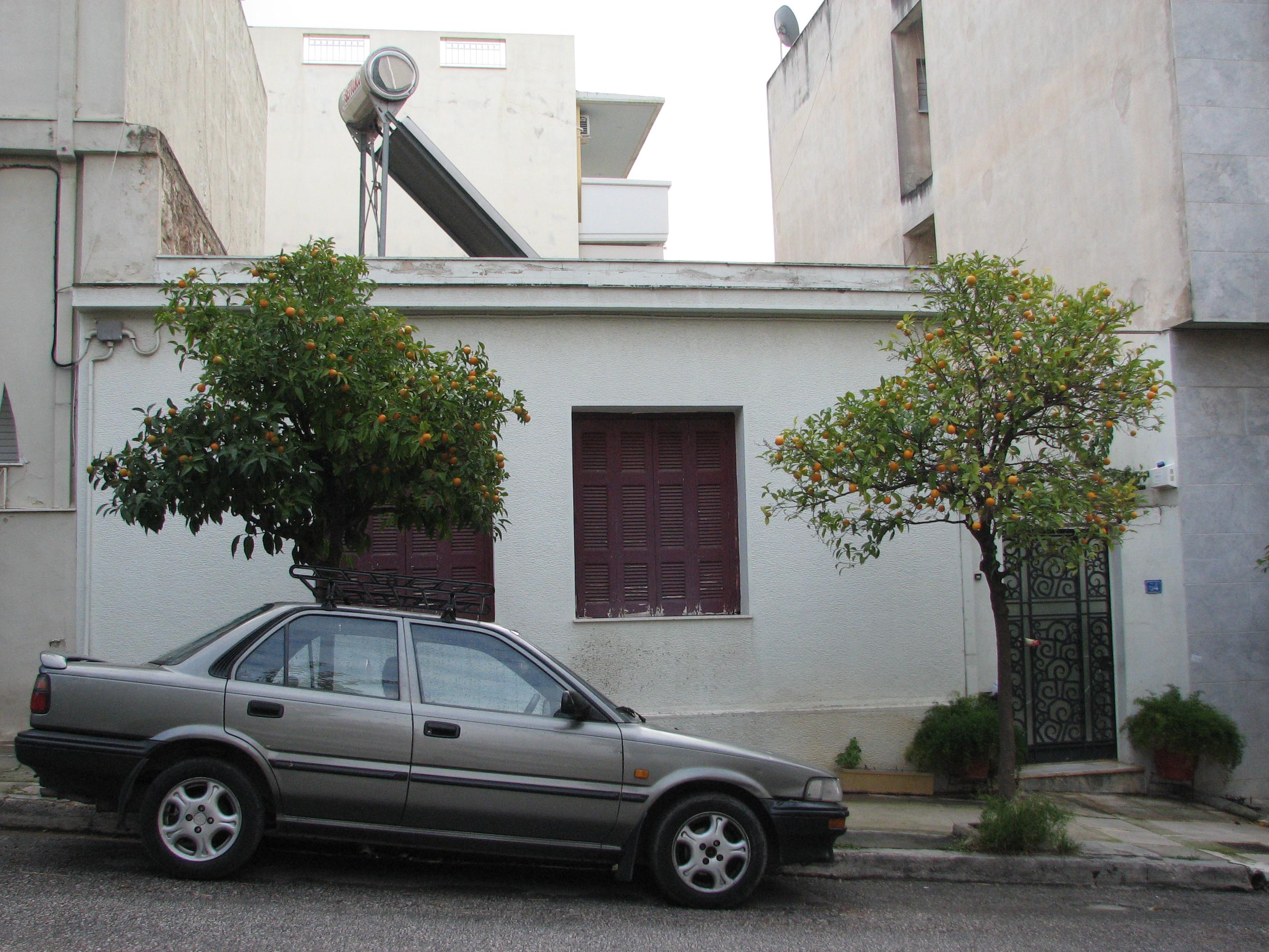 Γενική κύριας όψης
