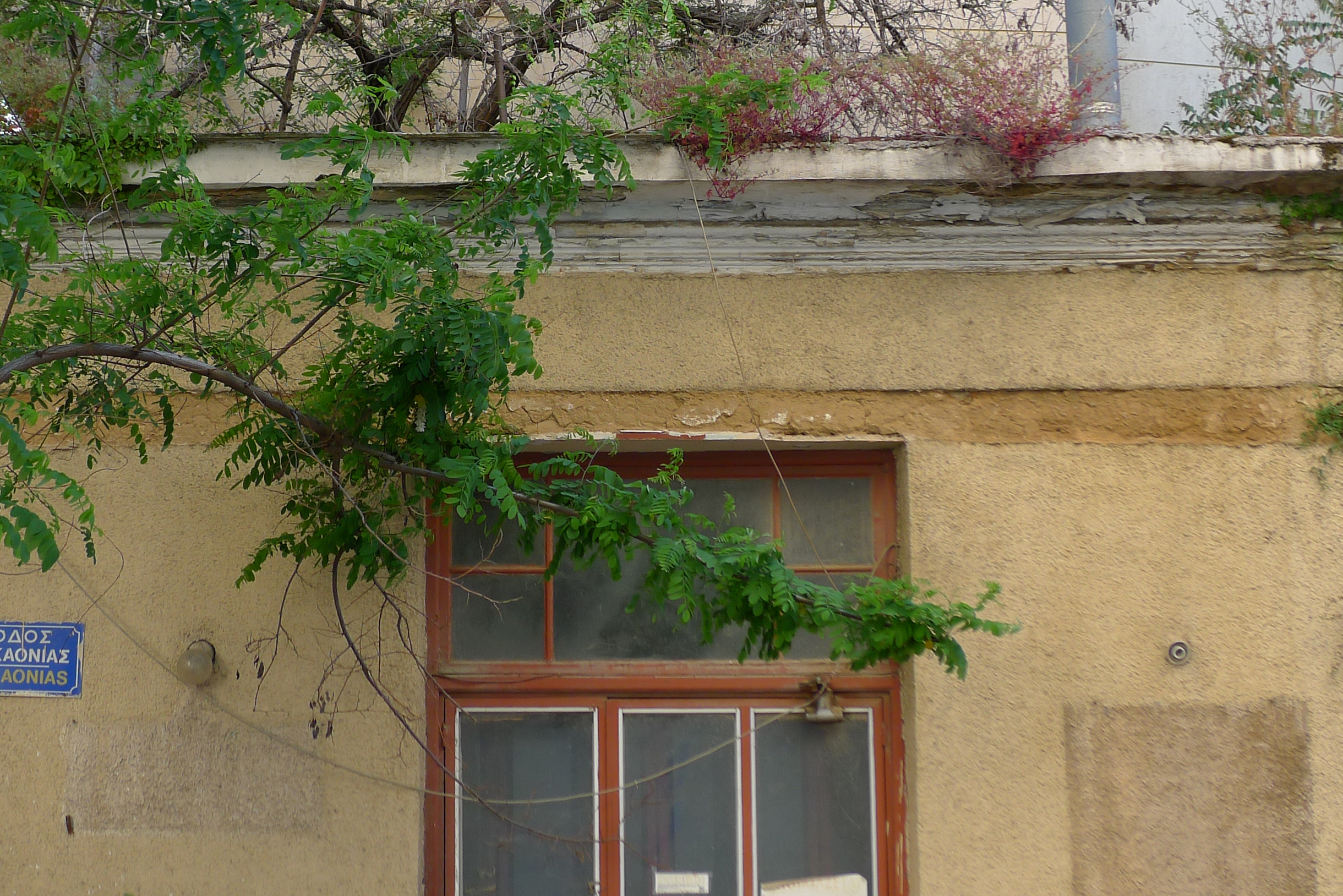 Detail of cornice