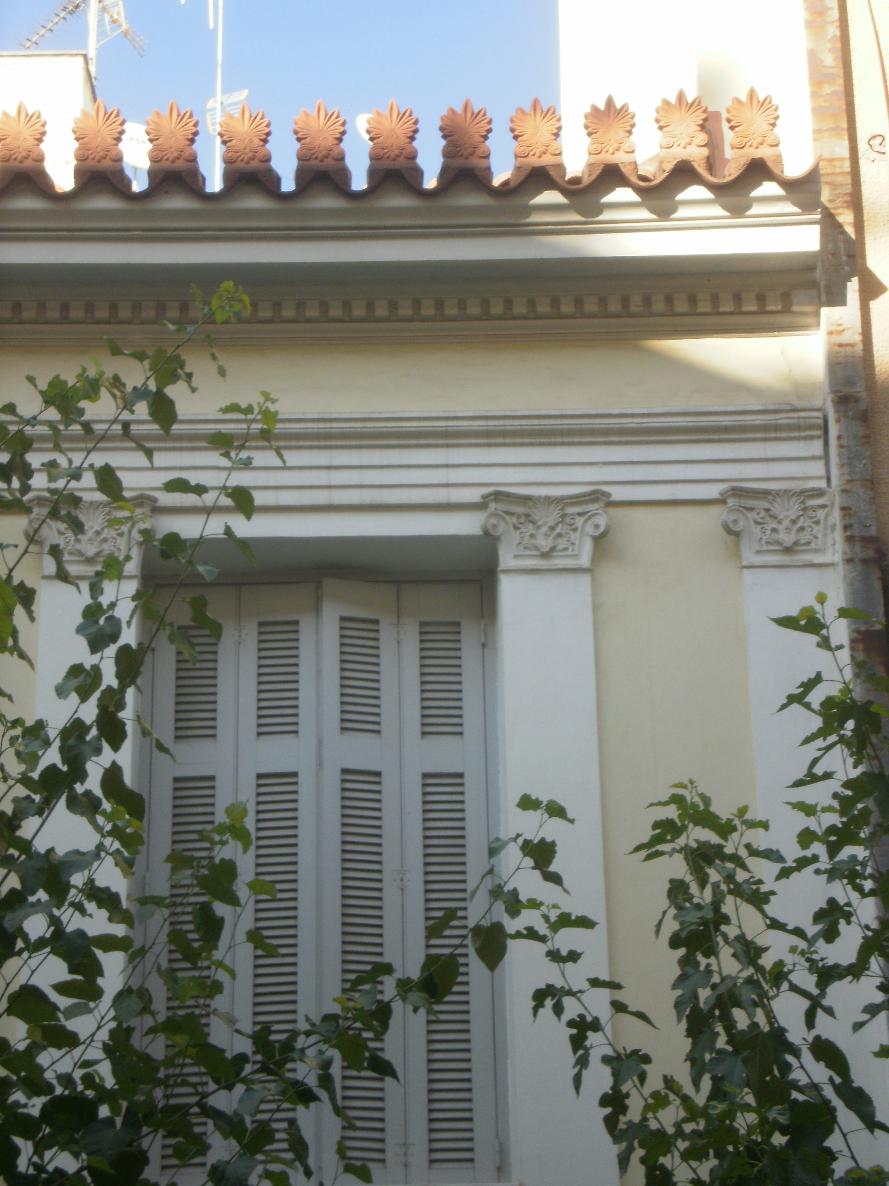 Λεπτομέρεια όψης