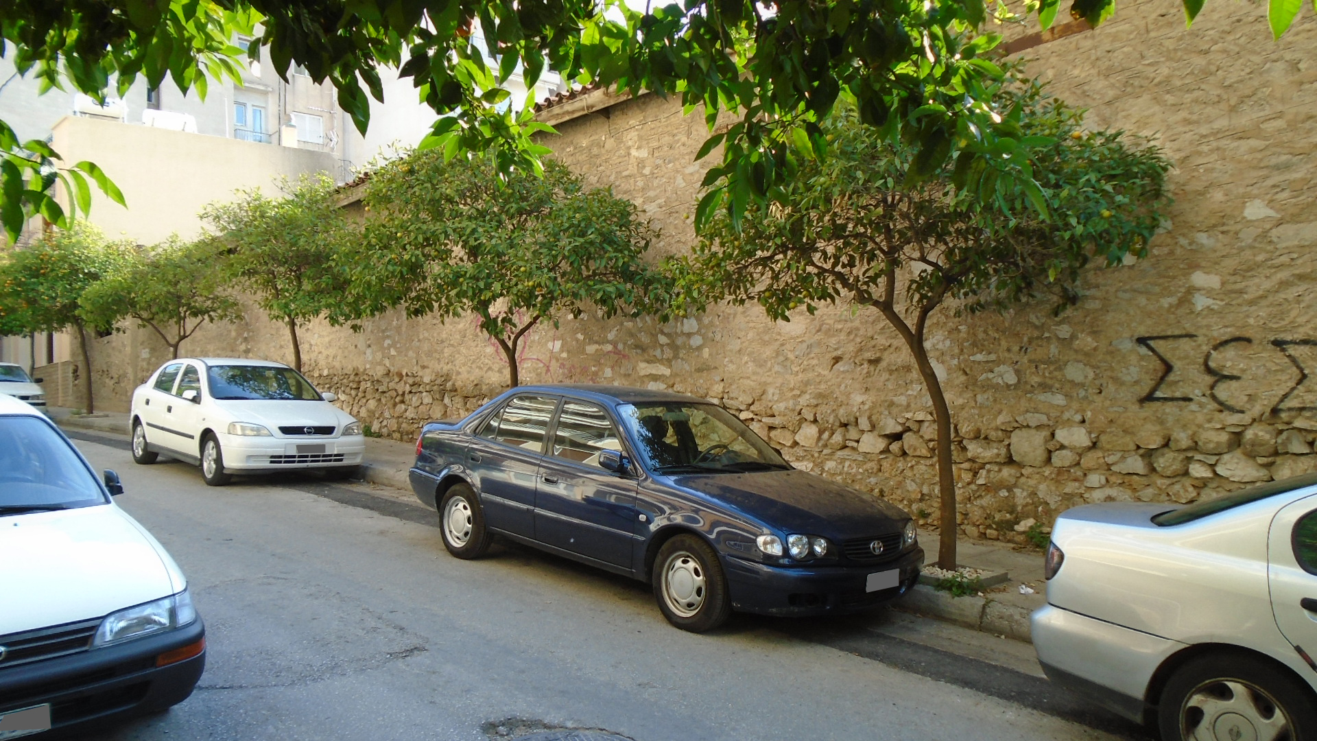 Λεπτομέρεια όψης