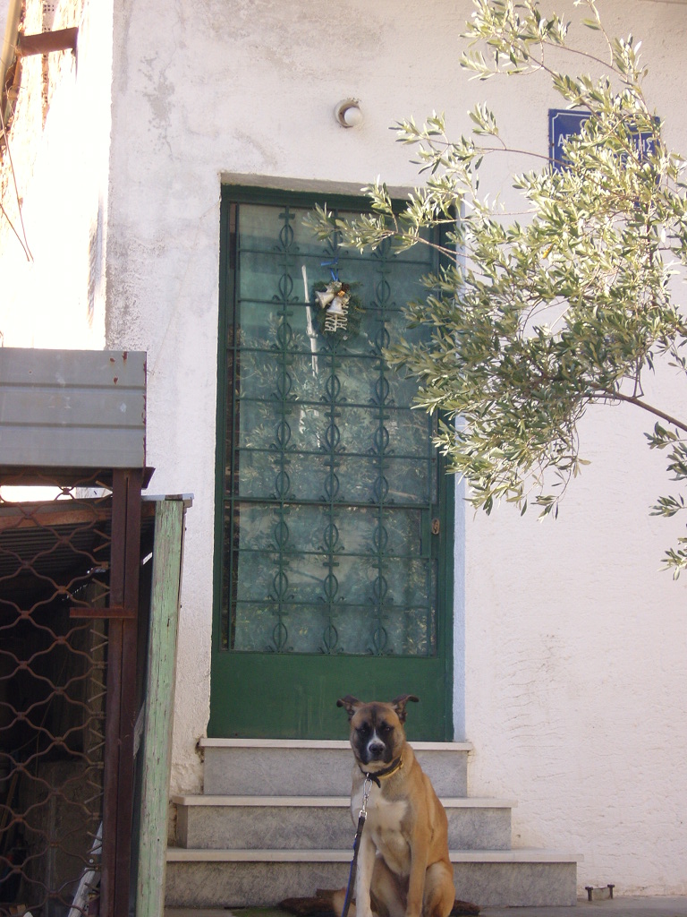 Γενική εισόδου