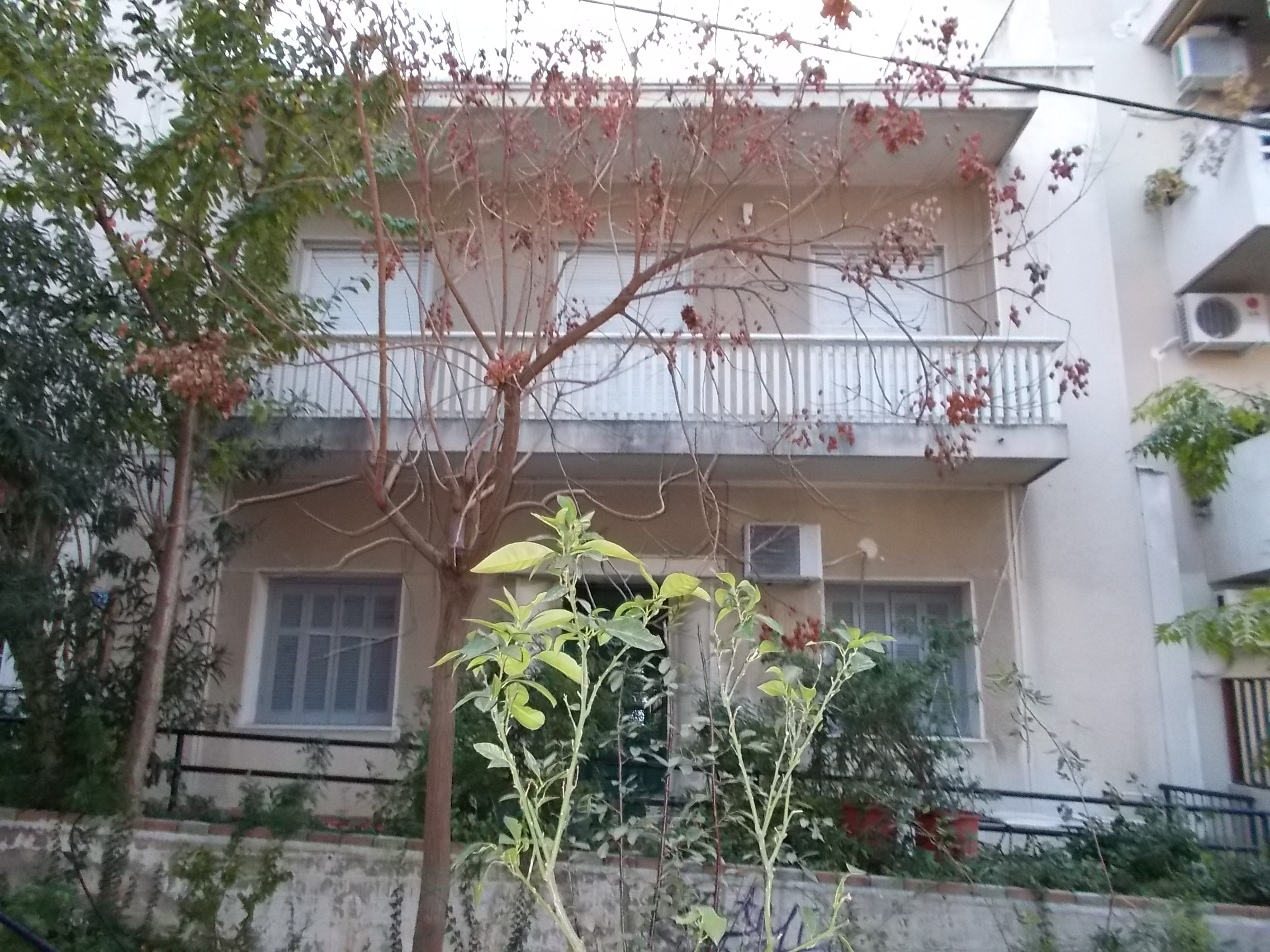 Γενική κύριας όψης