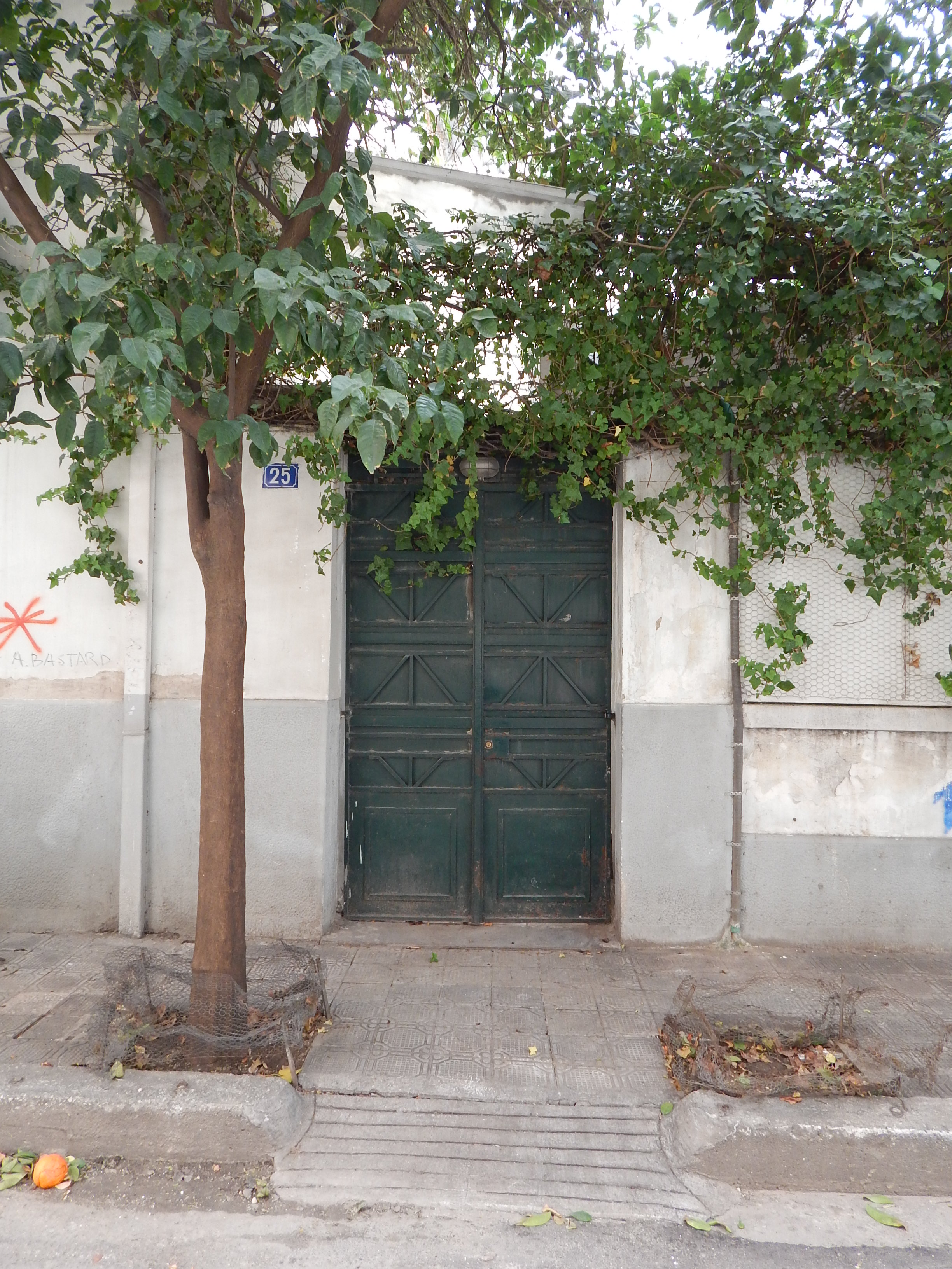 Γενική αυλόθυρας