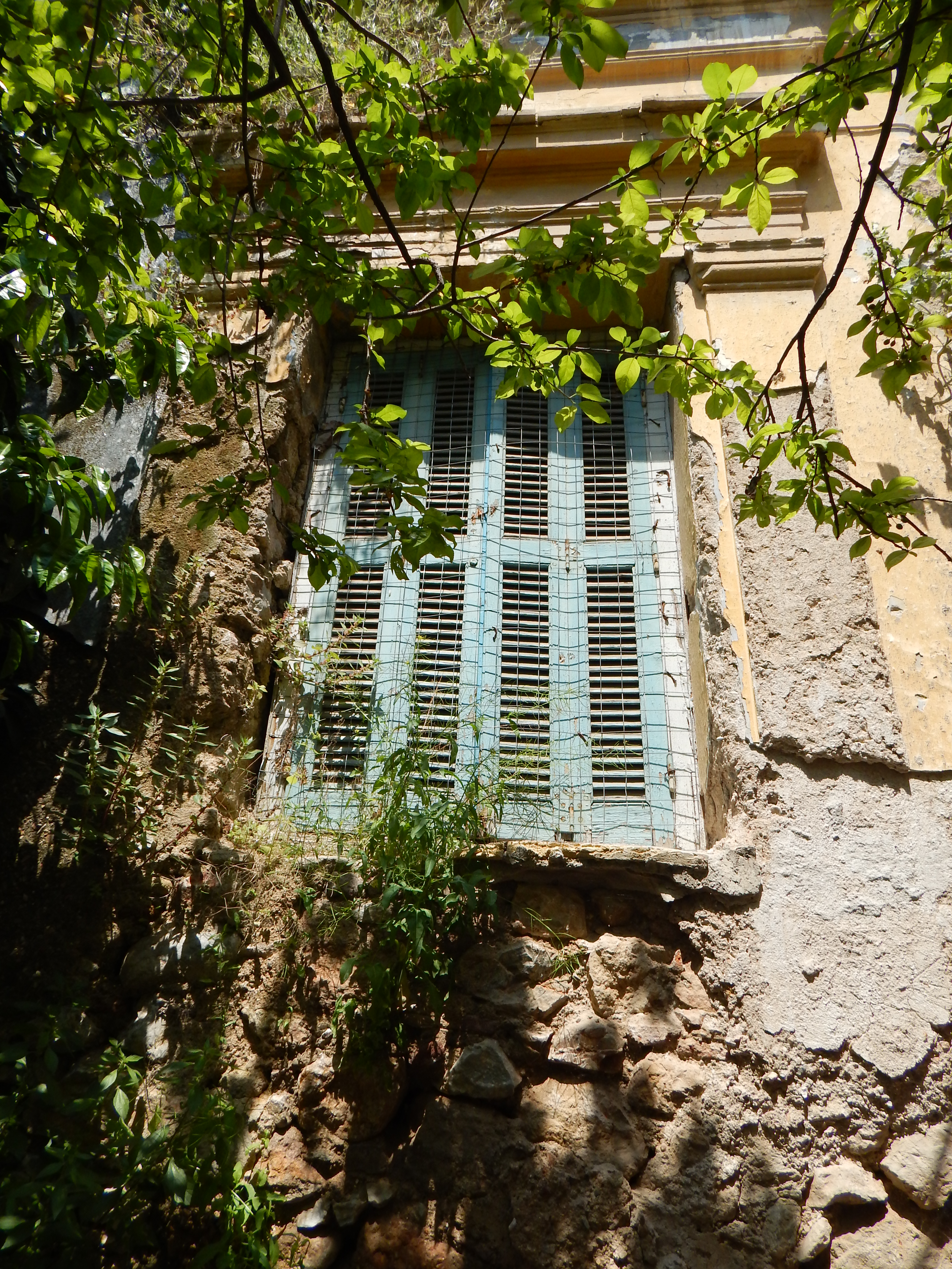 Γενική παραθύρου