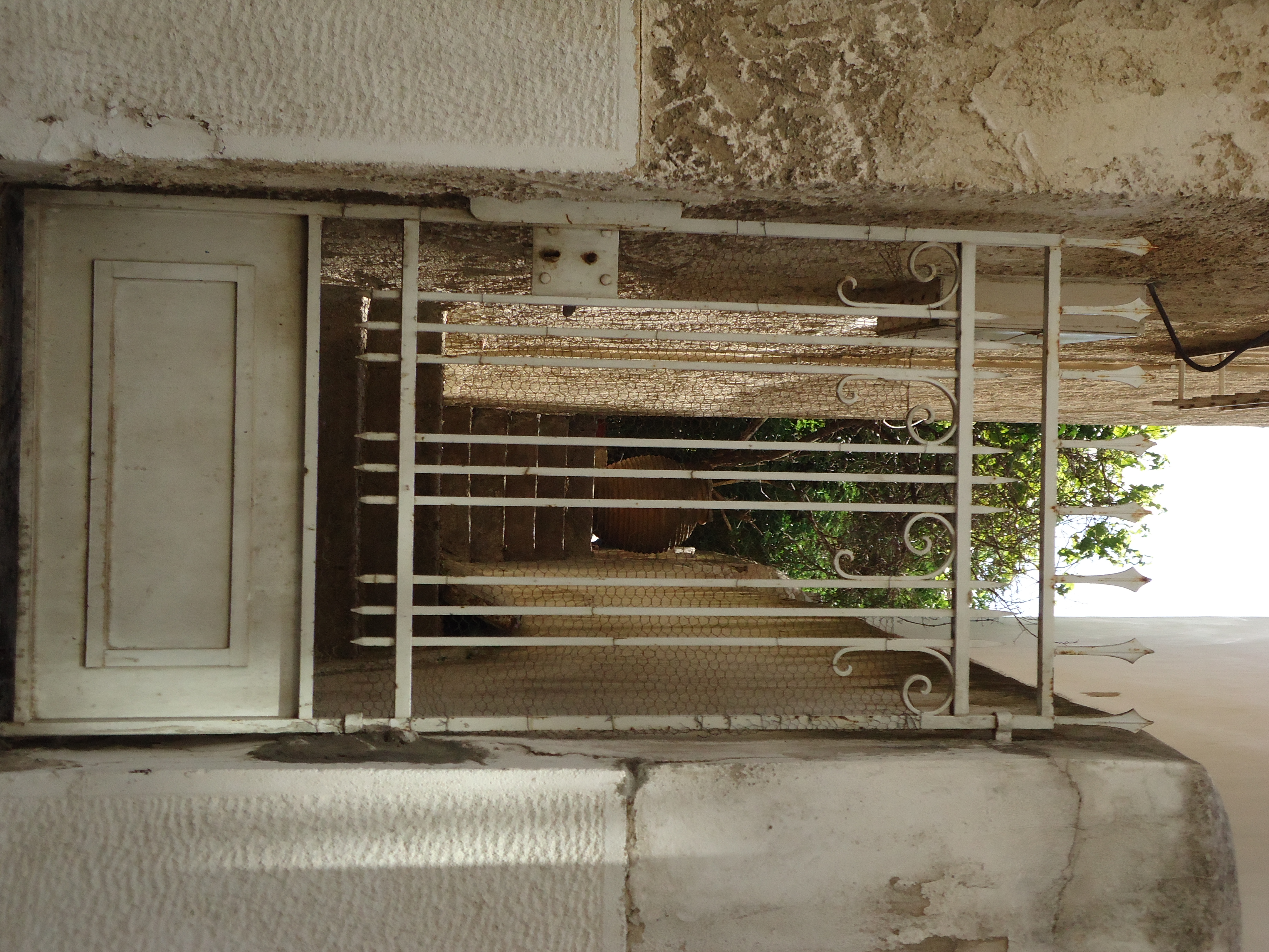 Γενική αυλόθυρας