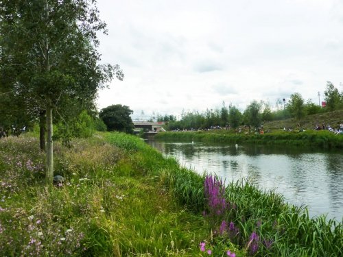 Παρόχθια βλάστηση κατά μήκος του ποταμού Lea, Λονδίνο 2012. Πηγή: Kevin Radford