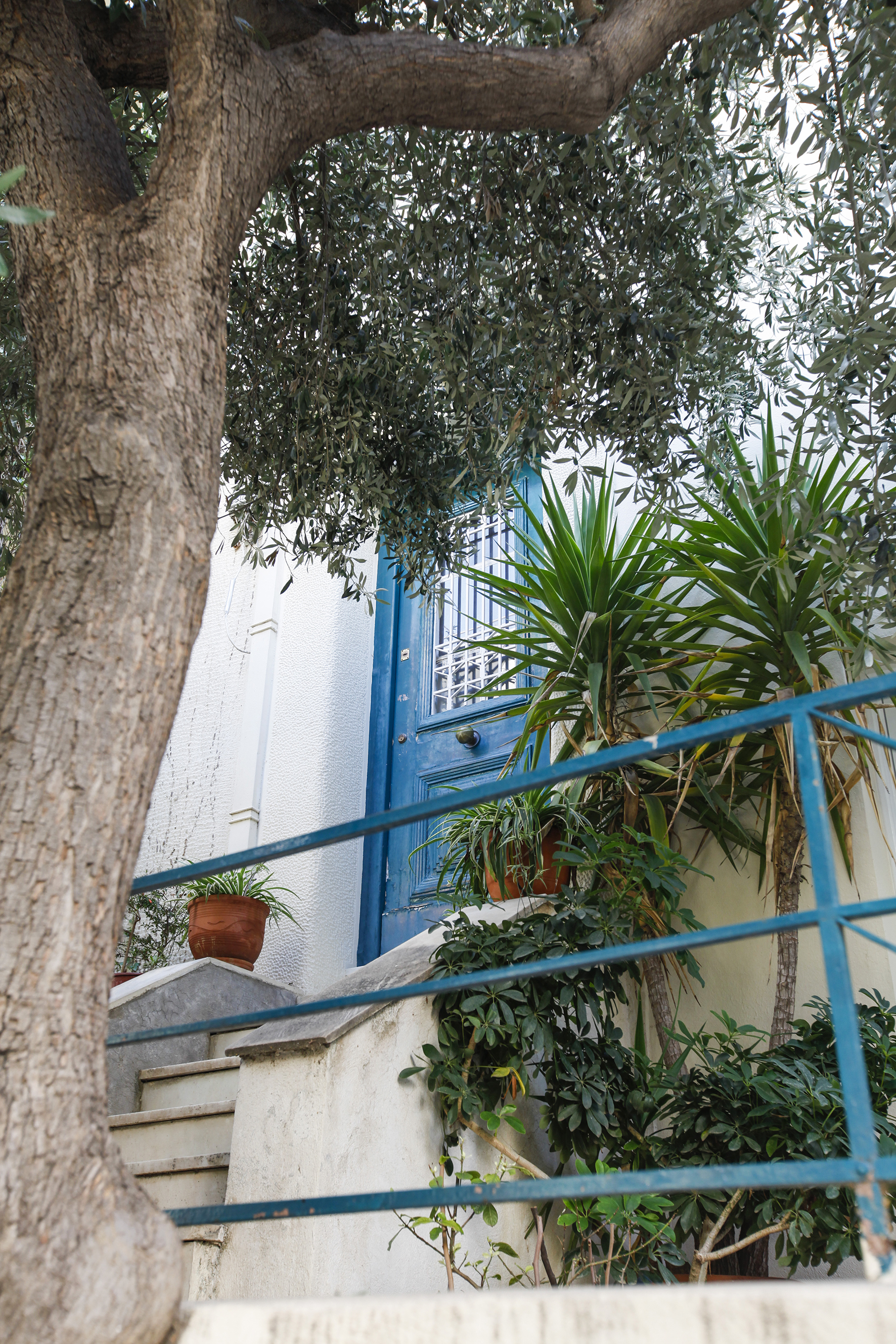 Λεπτομέρεια κεντρικής εισόδου