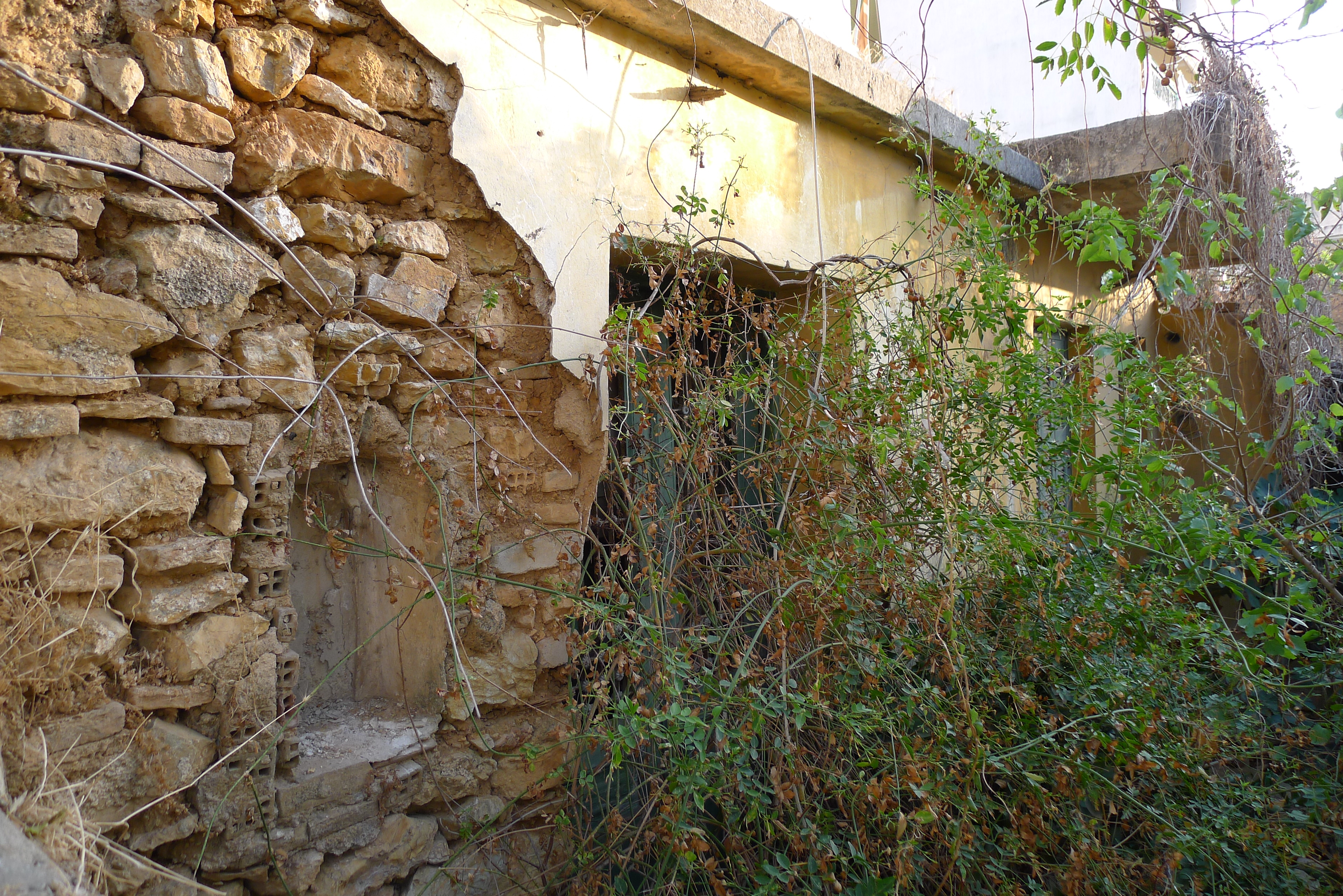 Γενική πλάγιας όψης