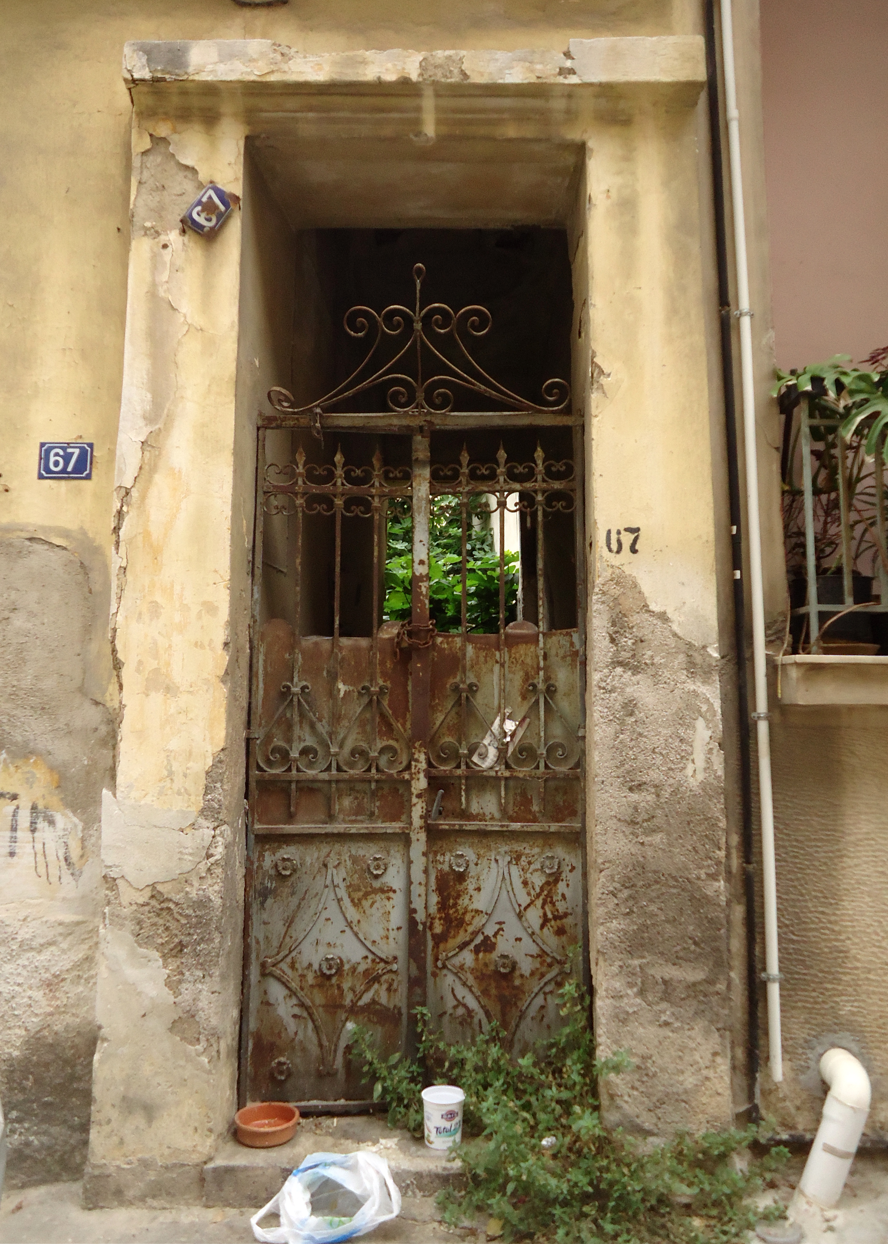 View of the yard door
