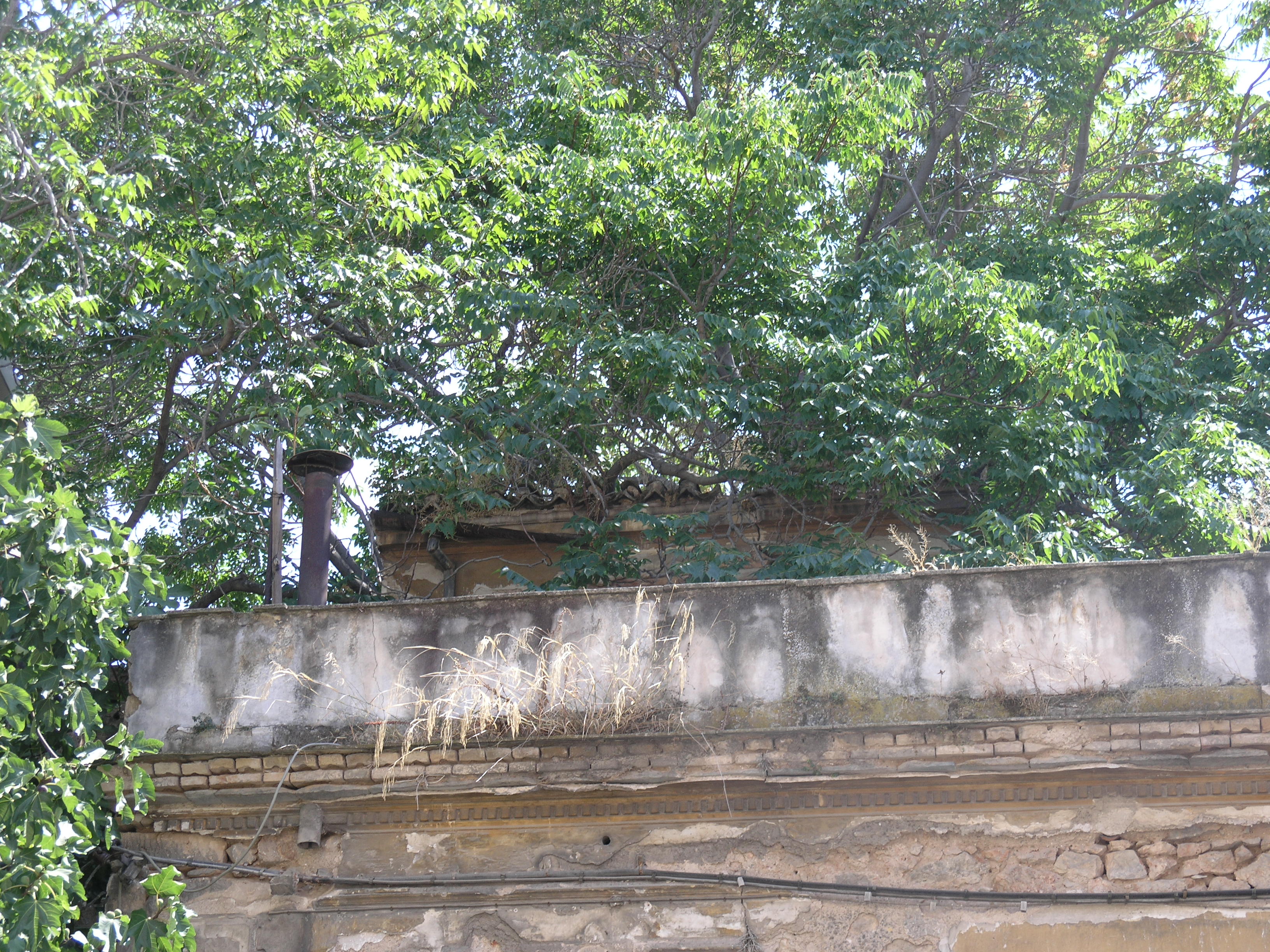 Detail of facade