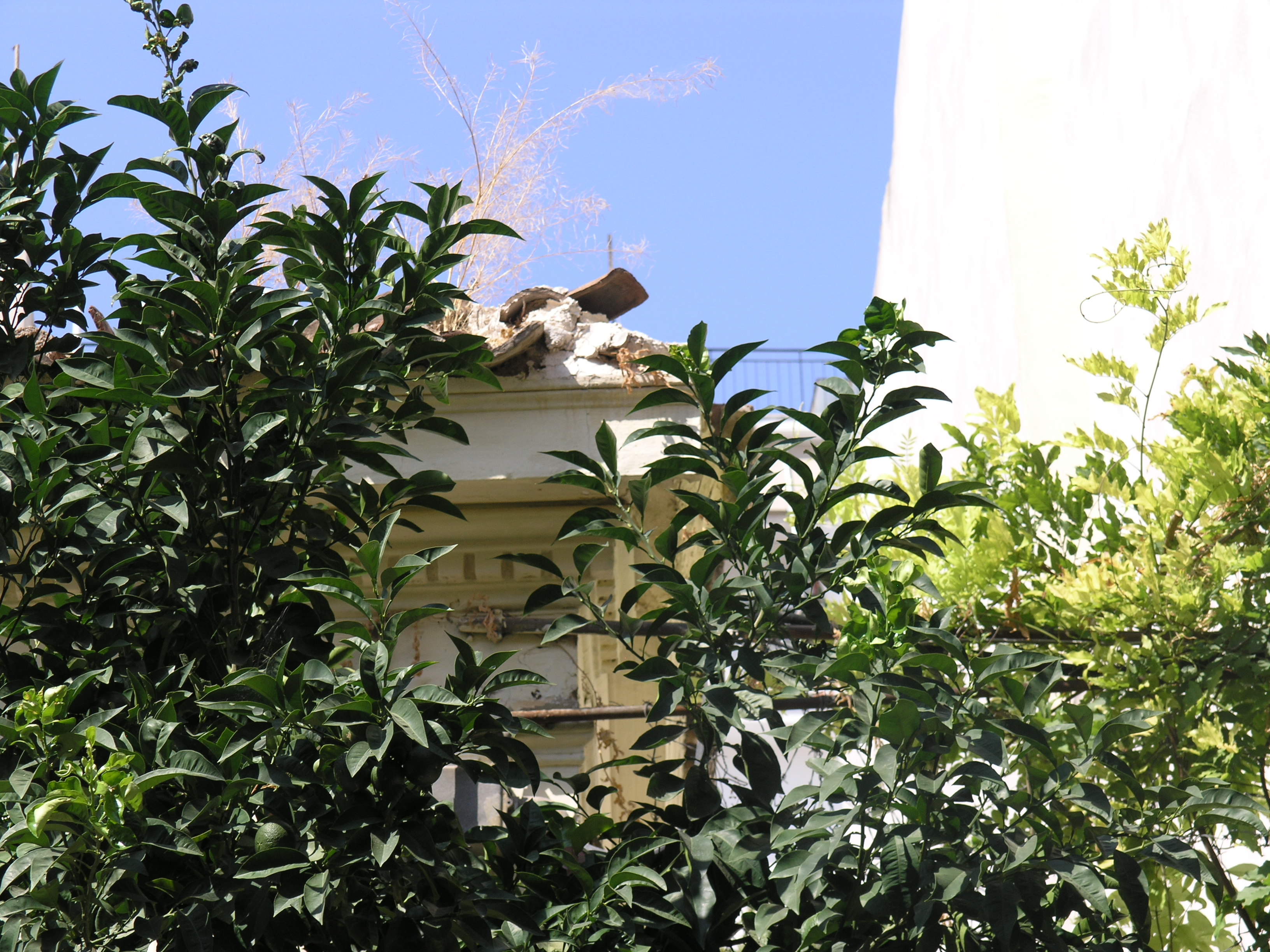 Detail of roof (2015)