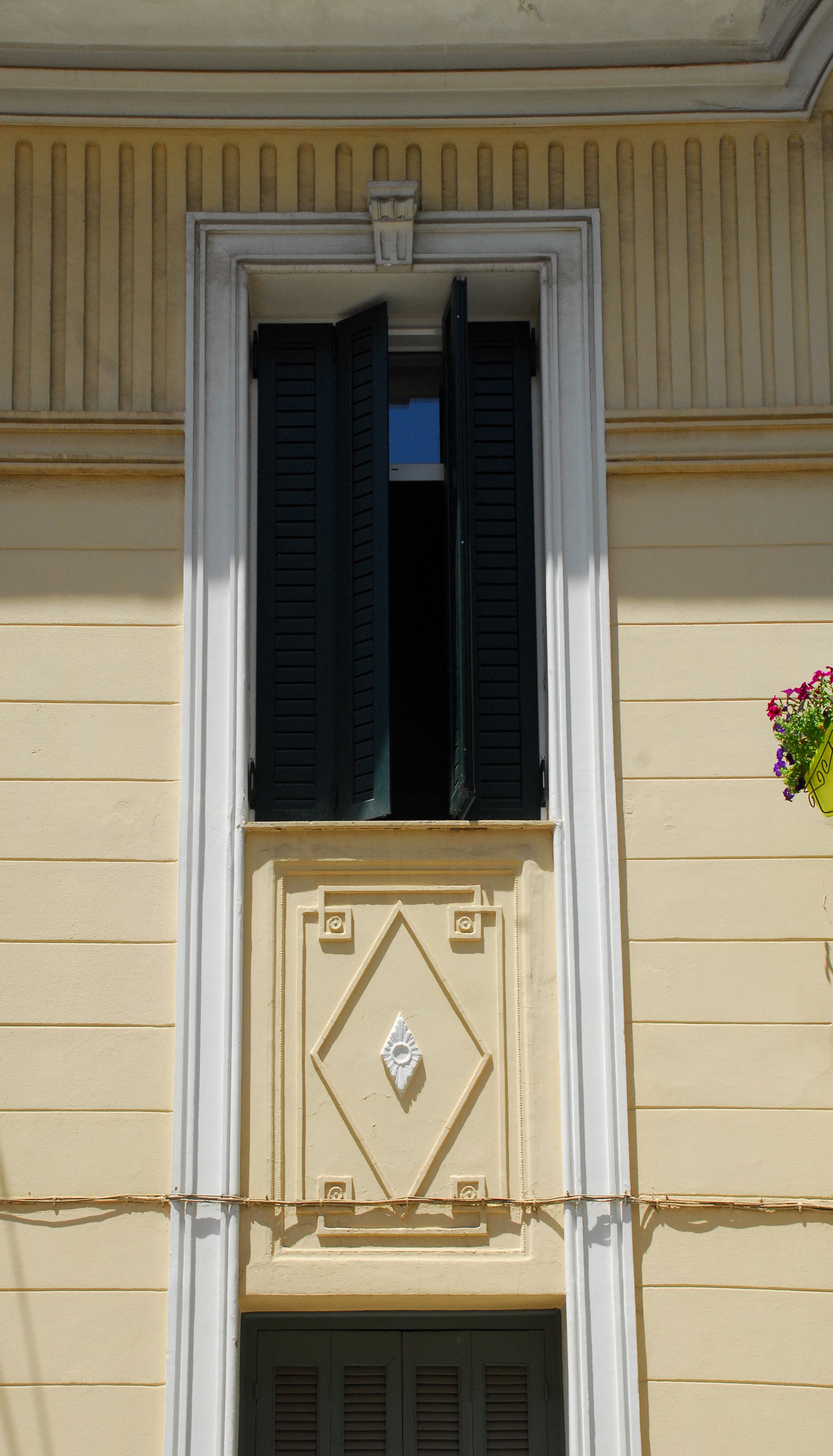 View of window (2013)