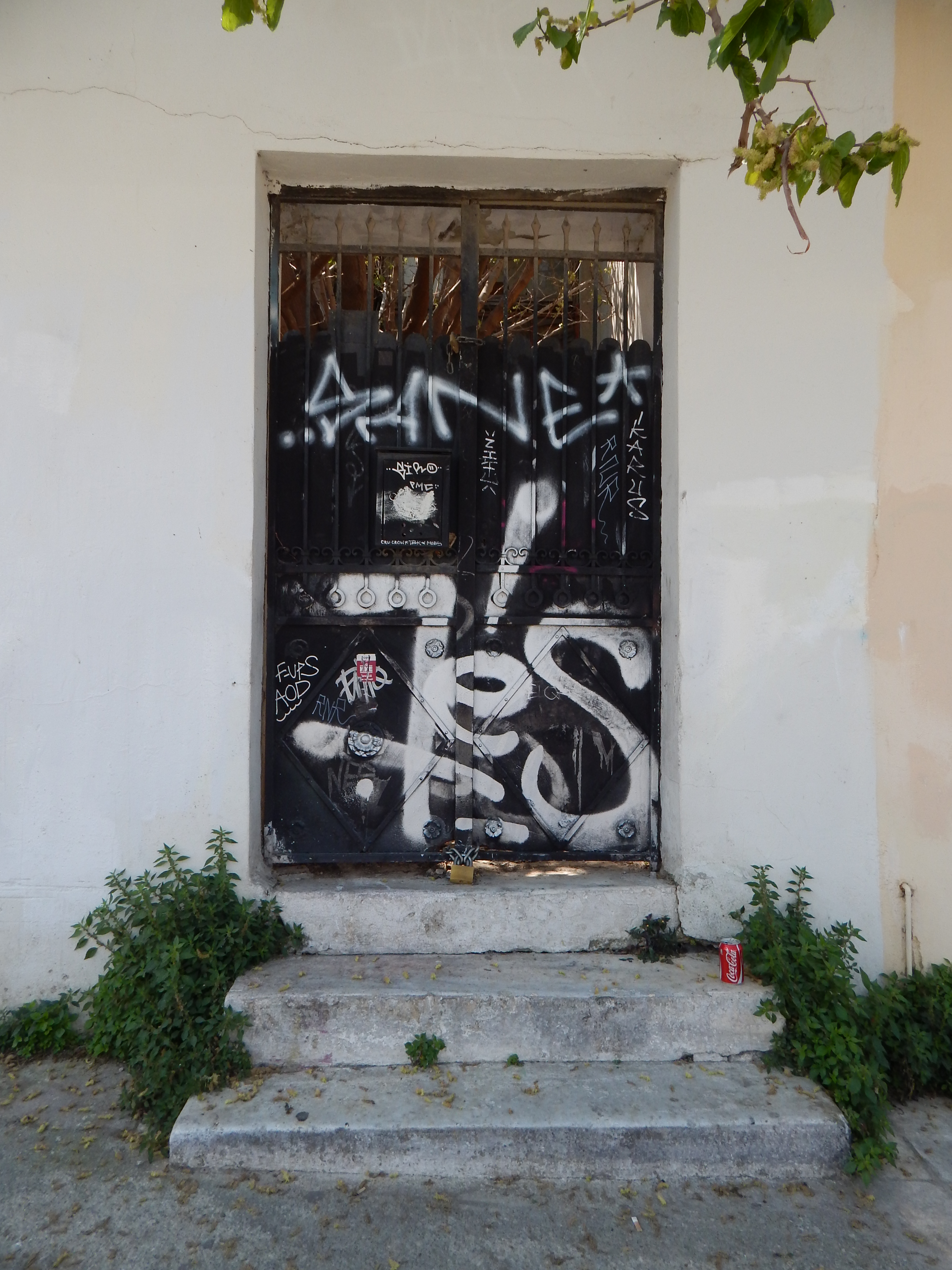 Γενική αυλόθυρας
