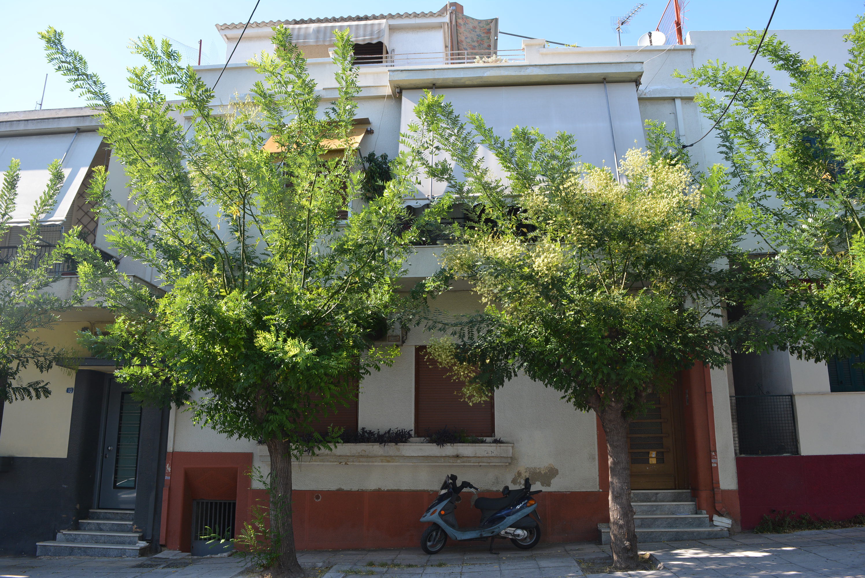 Γενική κύριας όψης (2015)
