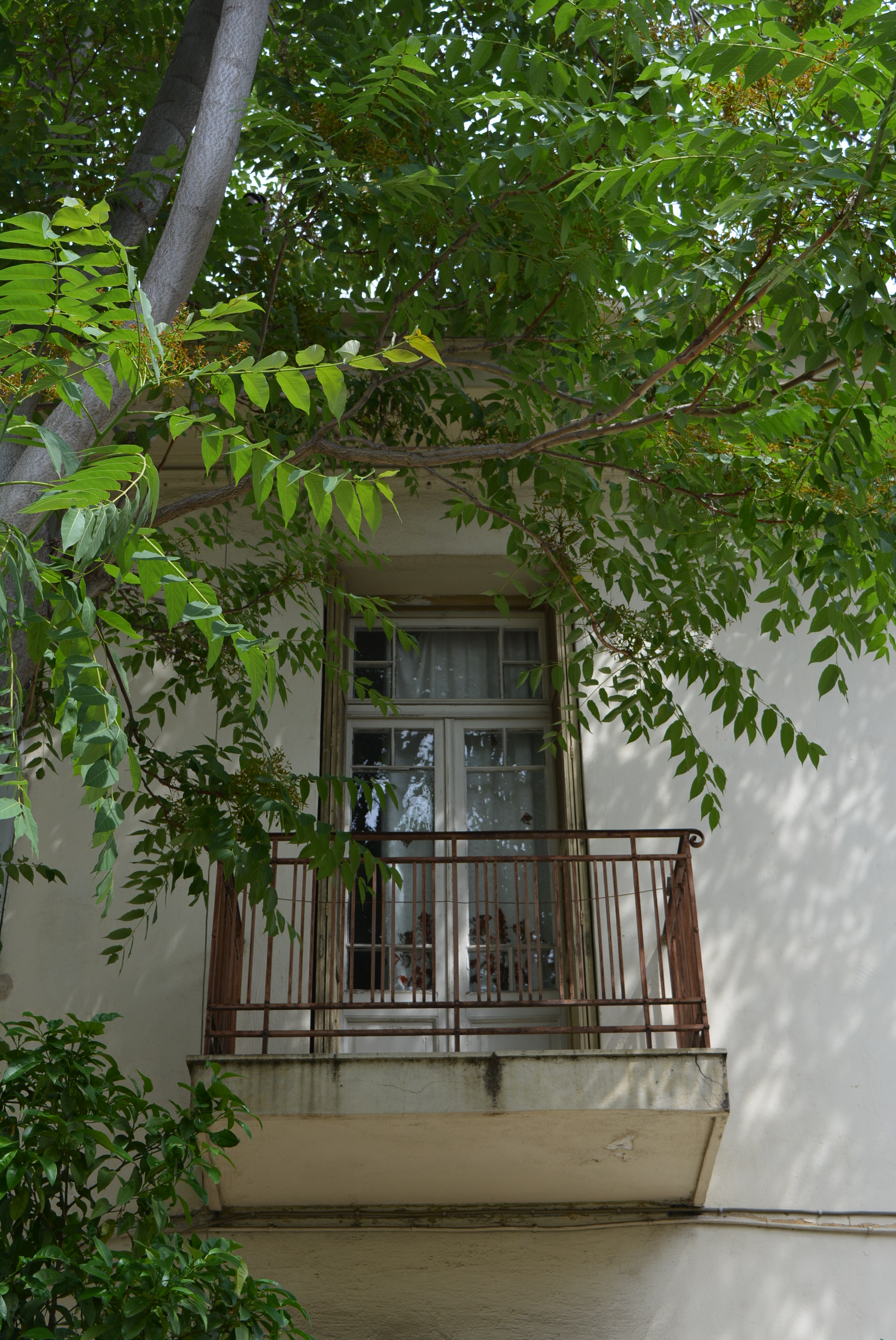 General view of balcony