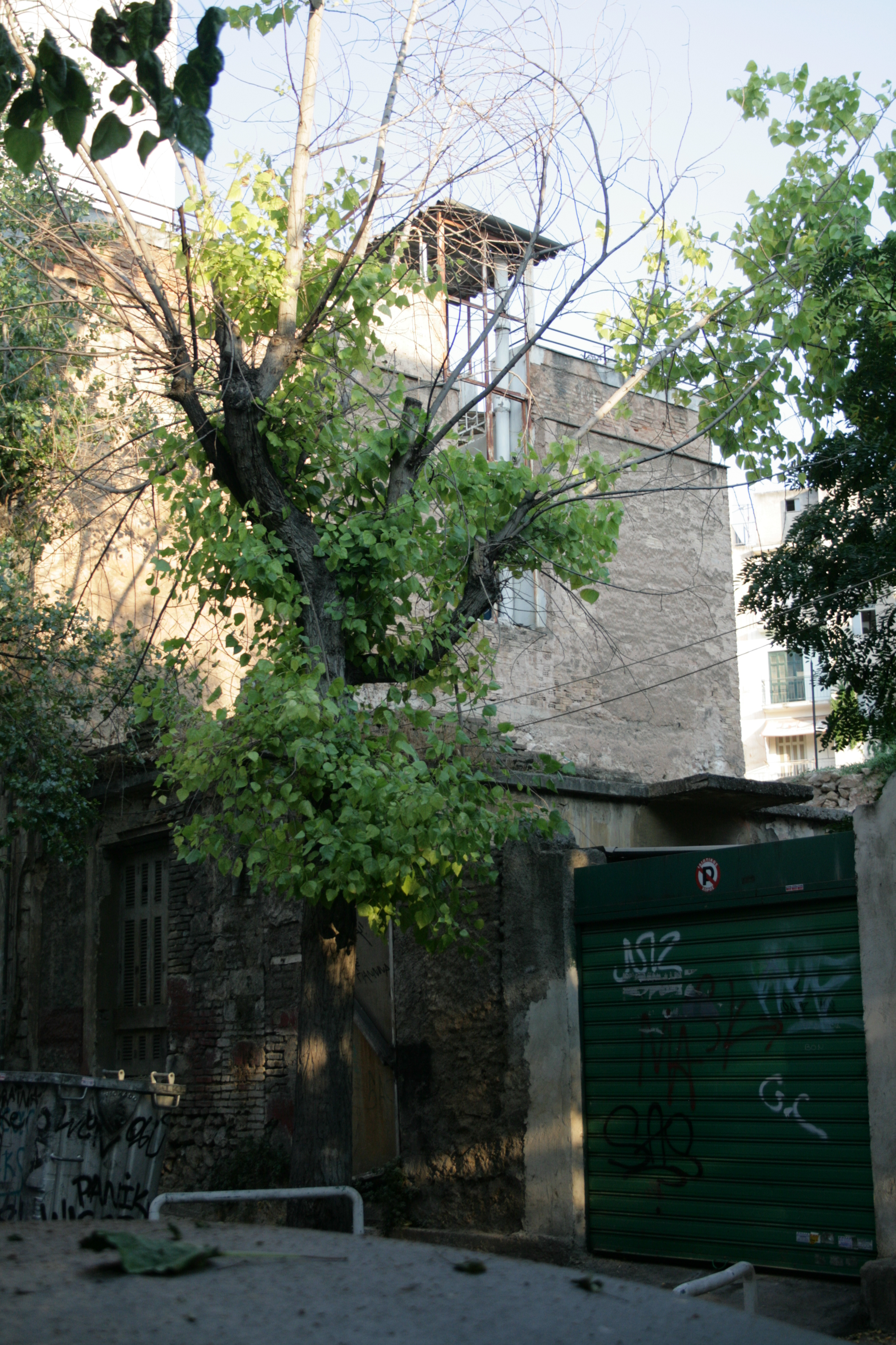 Γενική κύριας όψης