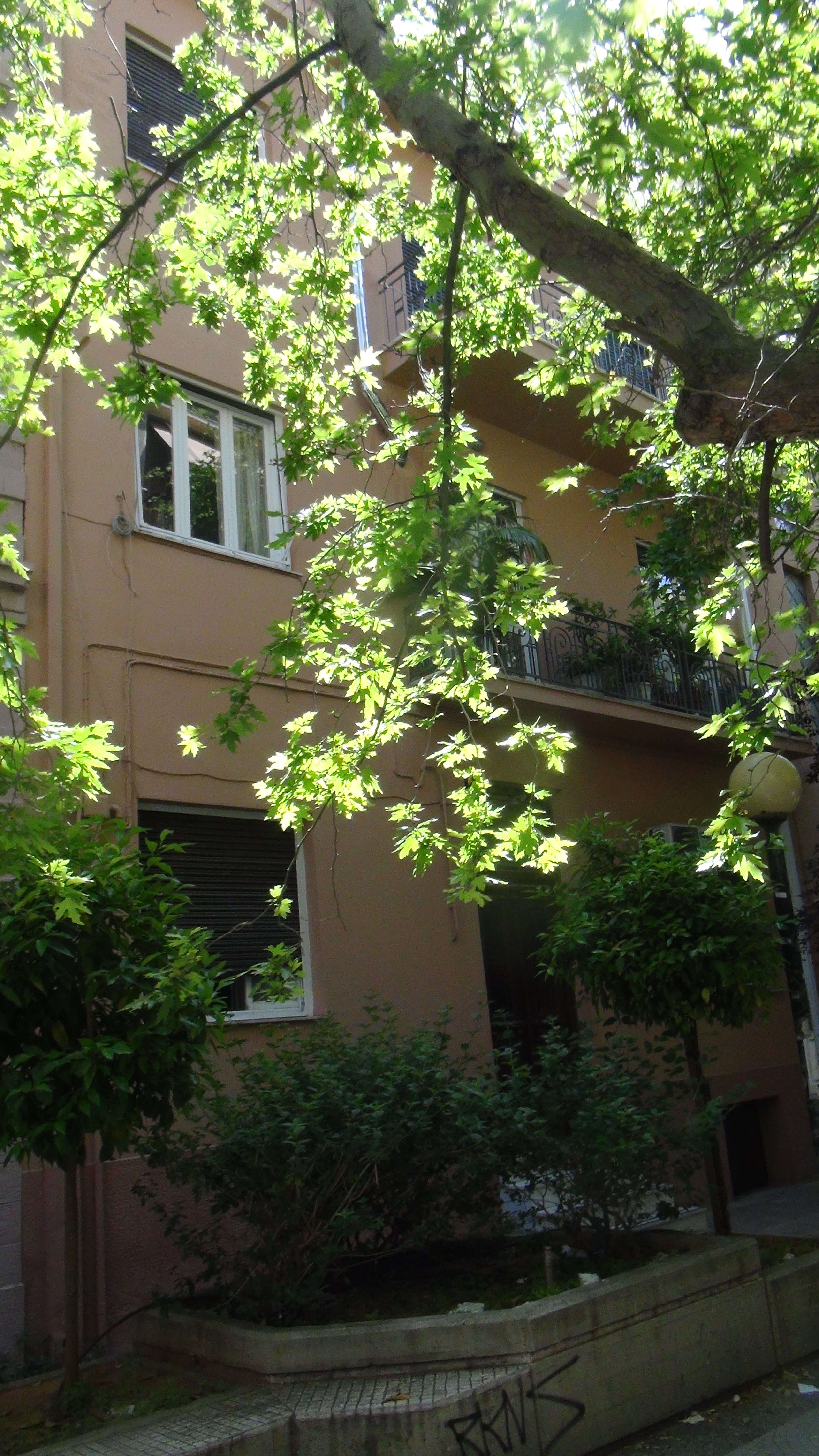 Γενική κύριας όψης