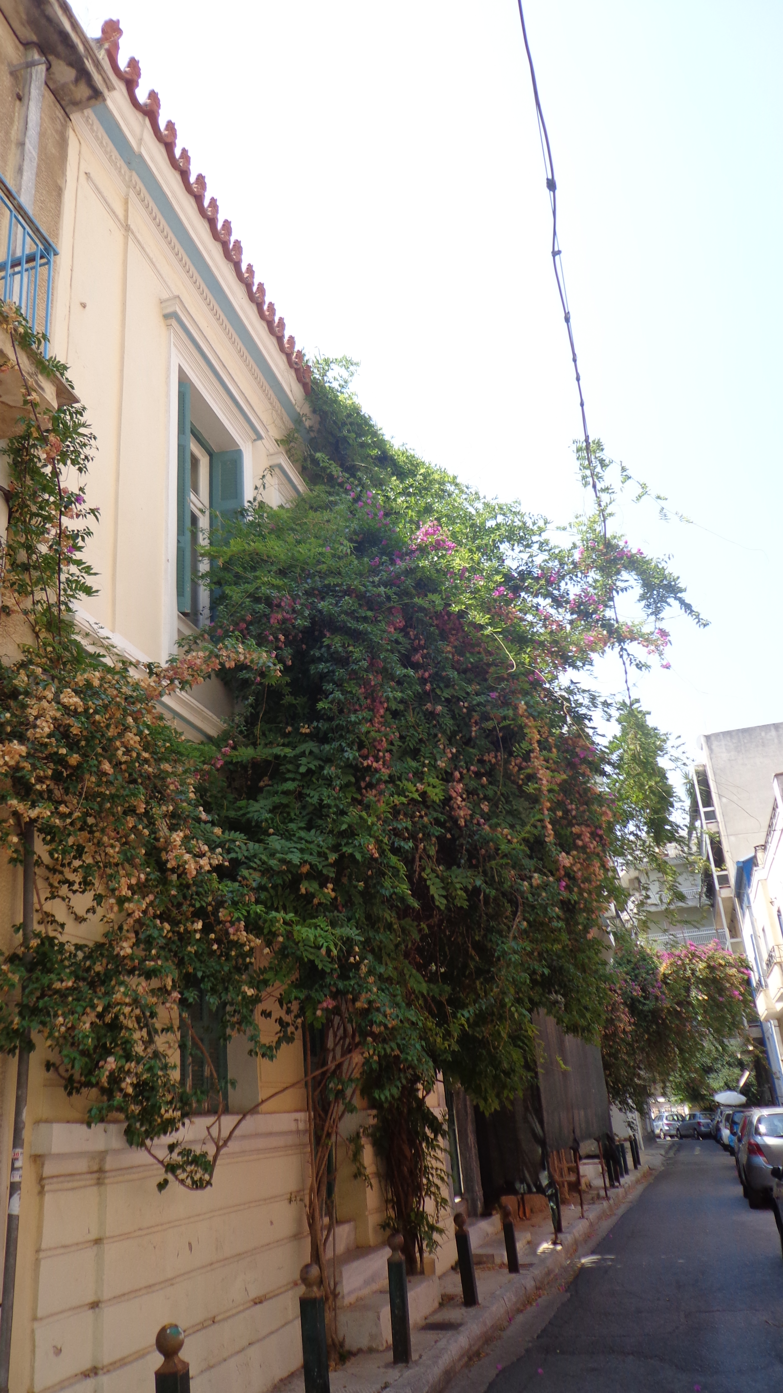 Γενική κύριας όψης