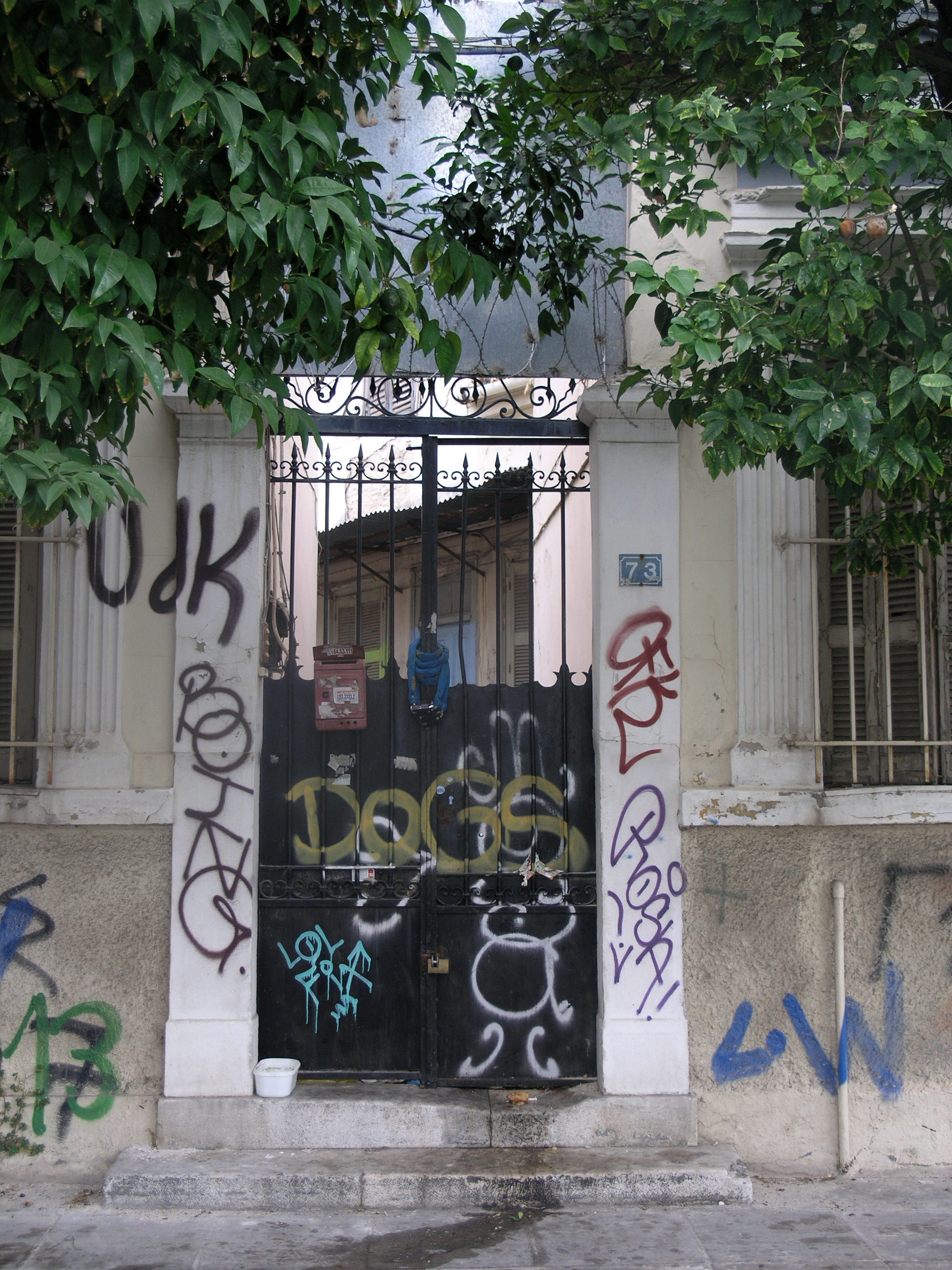 View of the yard door