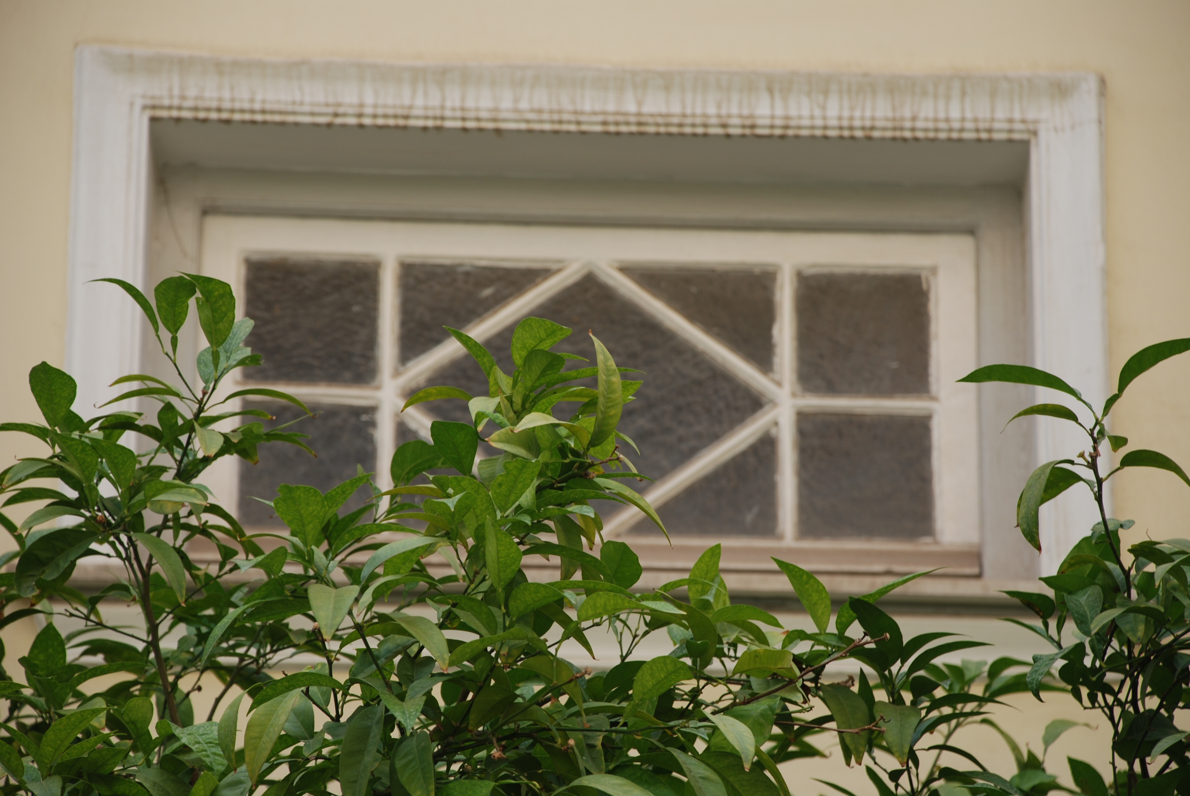 General view of transom window