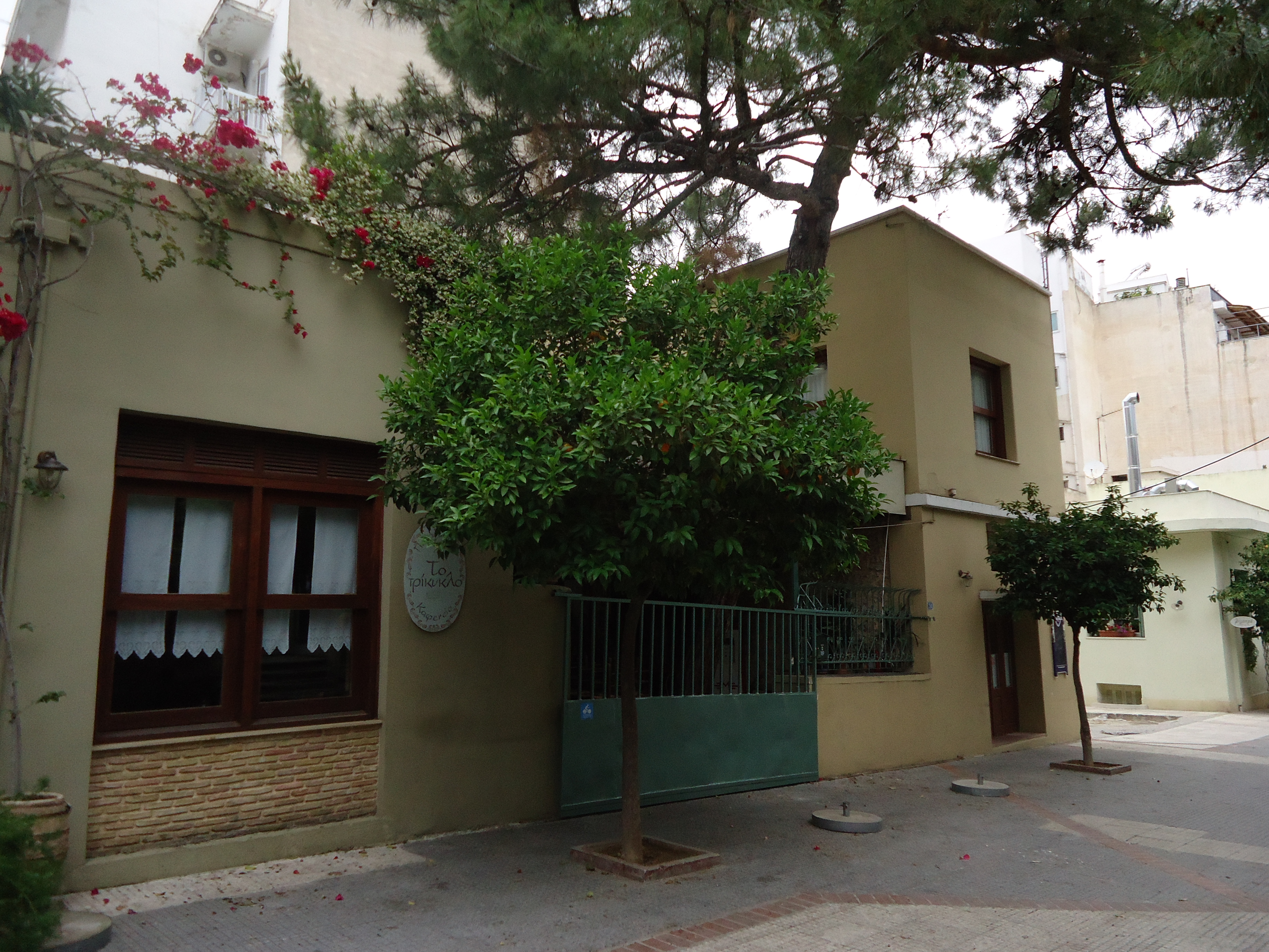 Γενική πλάγιας όψης