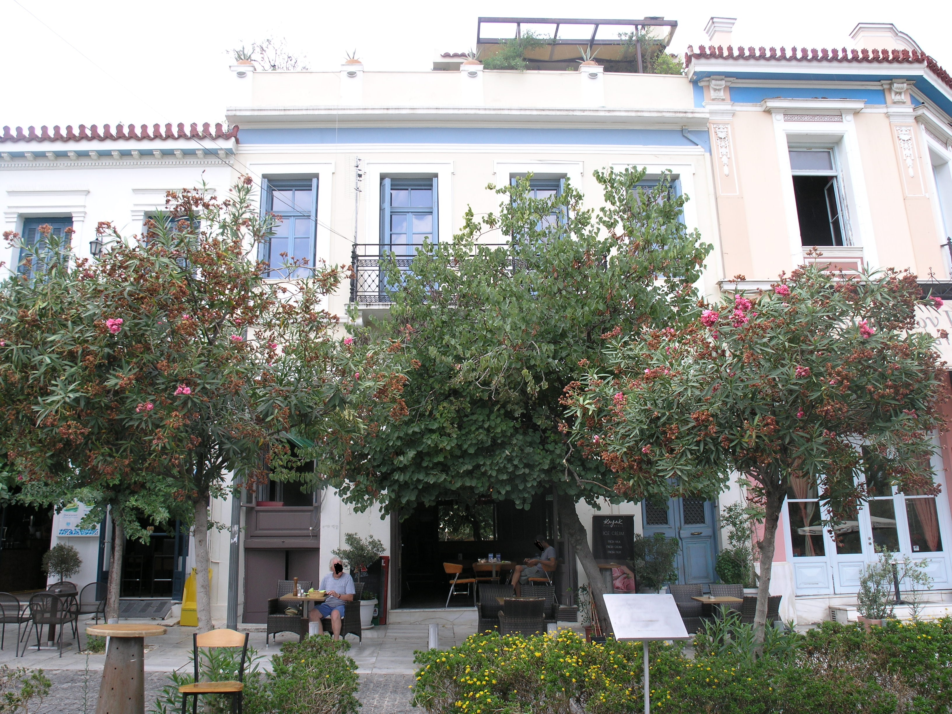 Γενική κύριας όψης