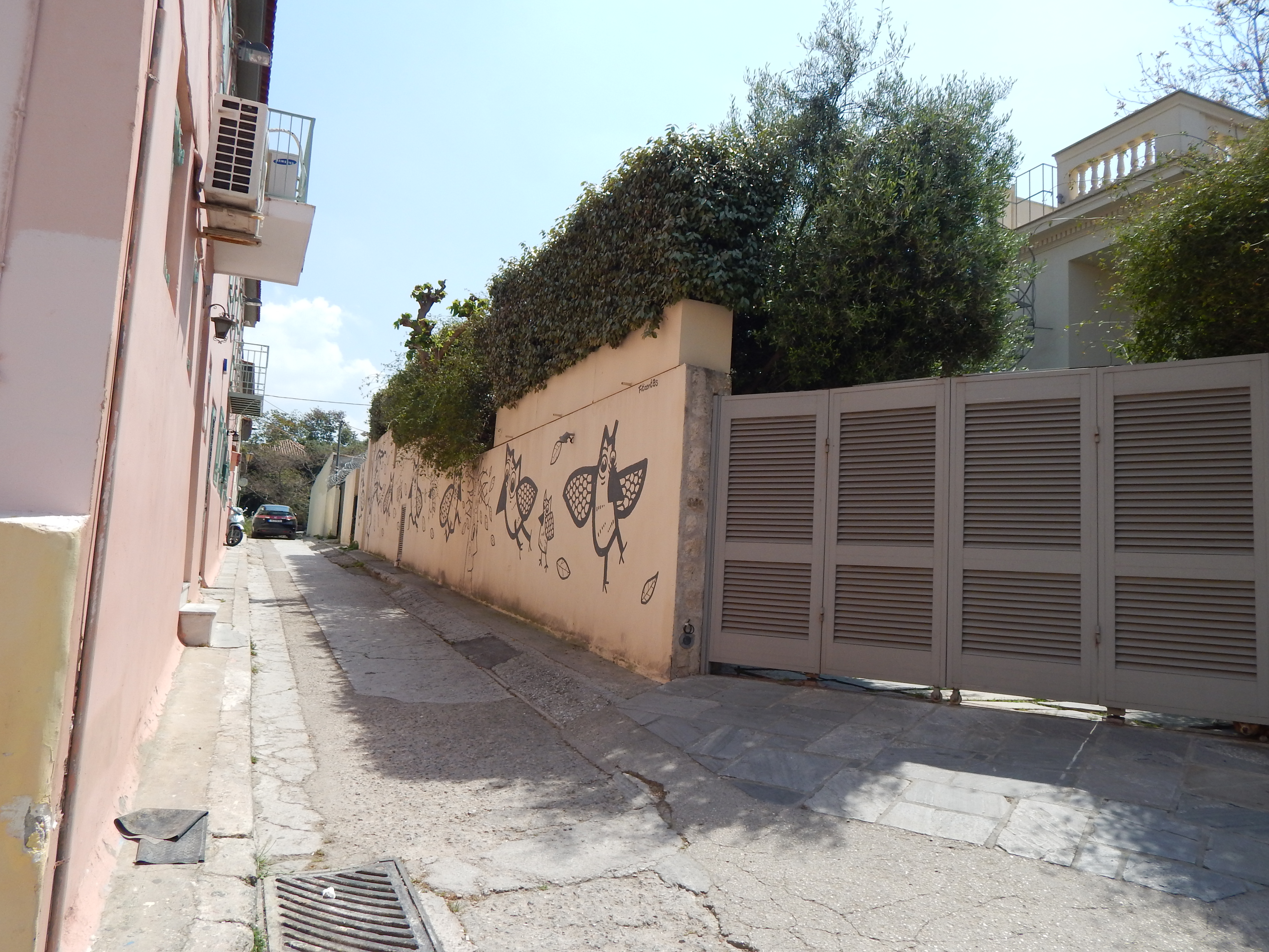 Γενική αυλότοιχου
