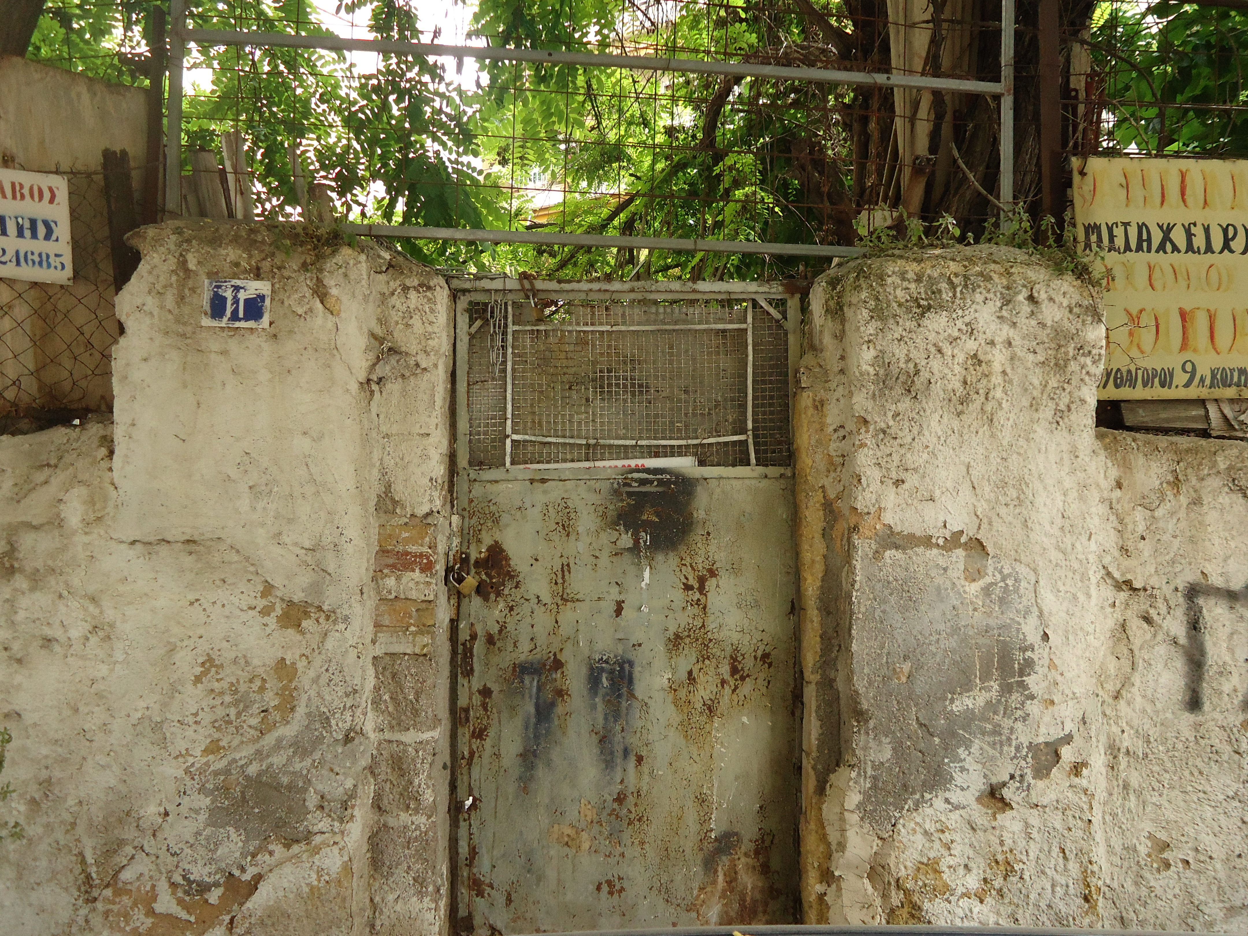 View of the yard door