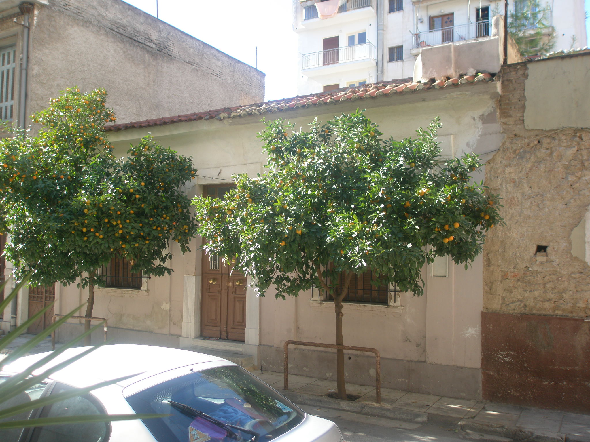 Γενική κύριας όψης (2013)