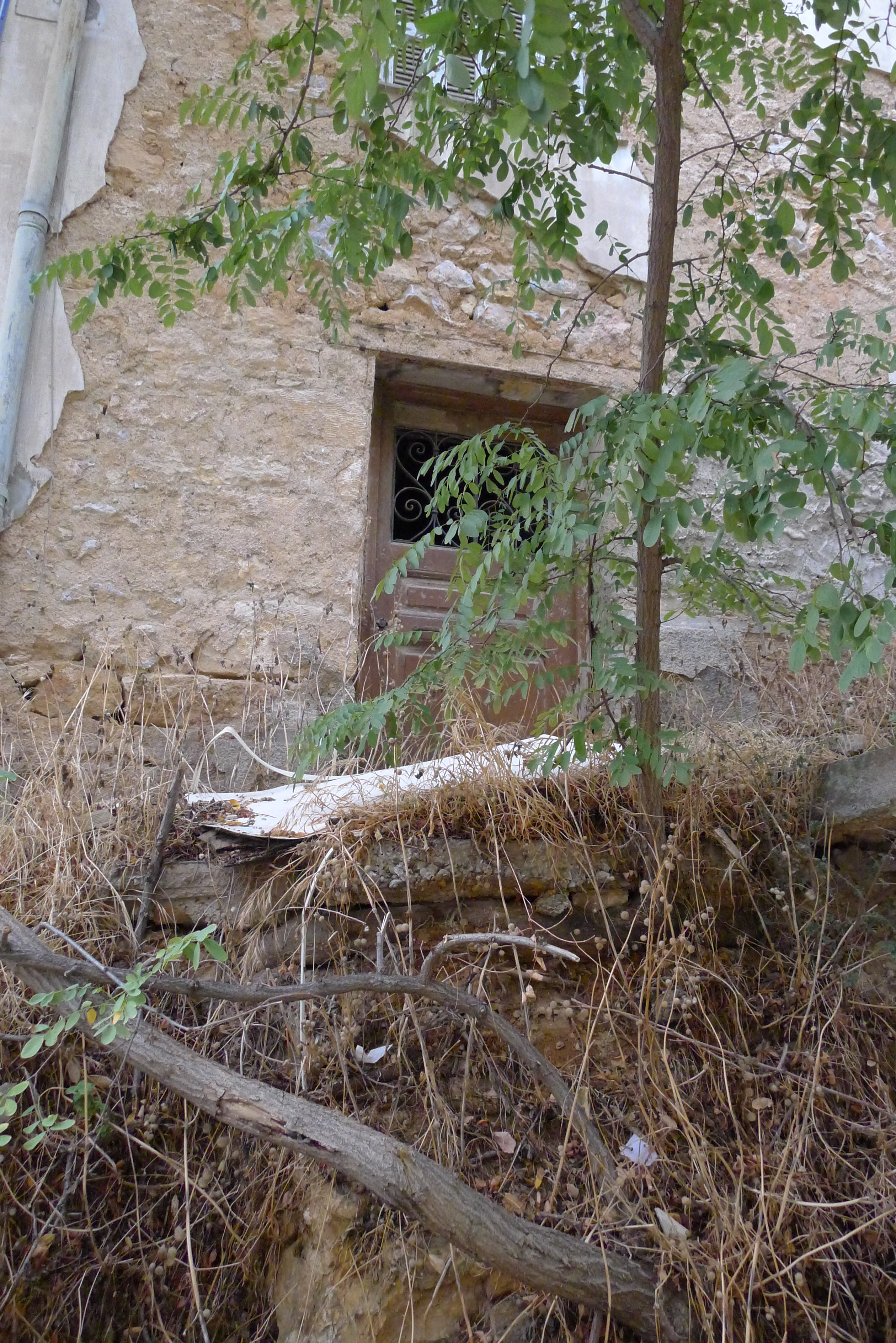 Γενική εισόδου