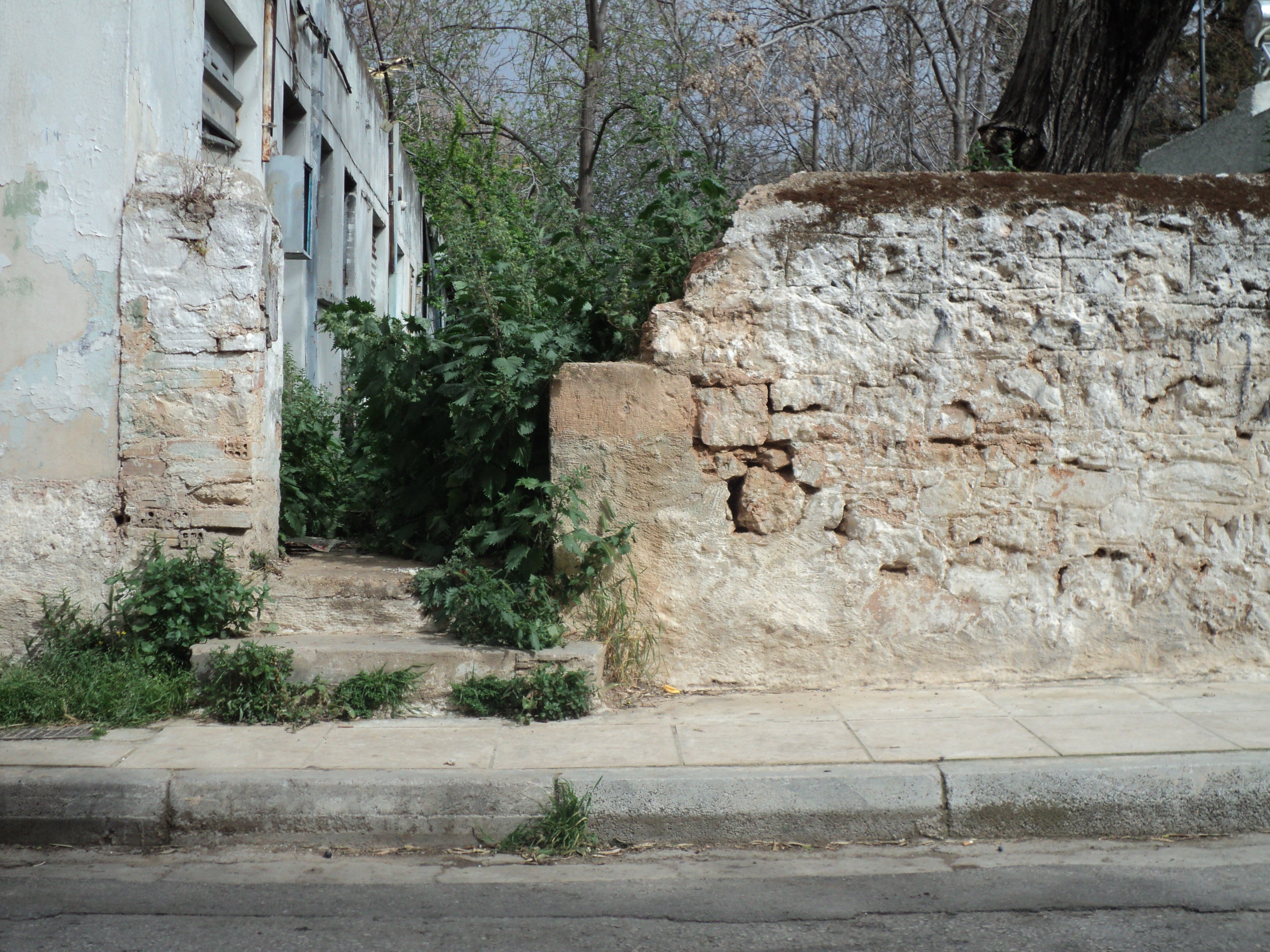 Γενική εισόδου