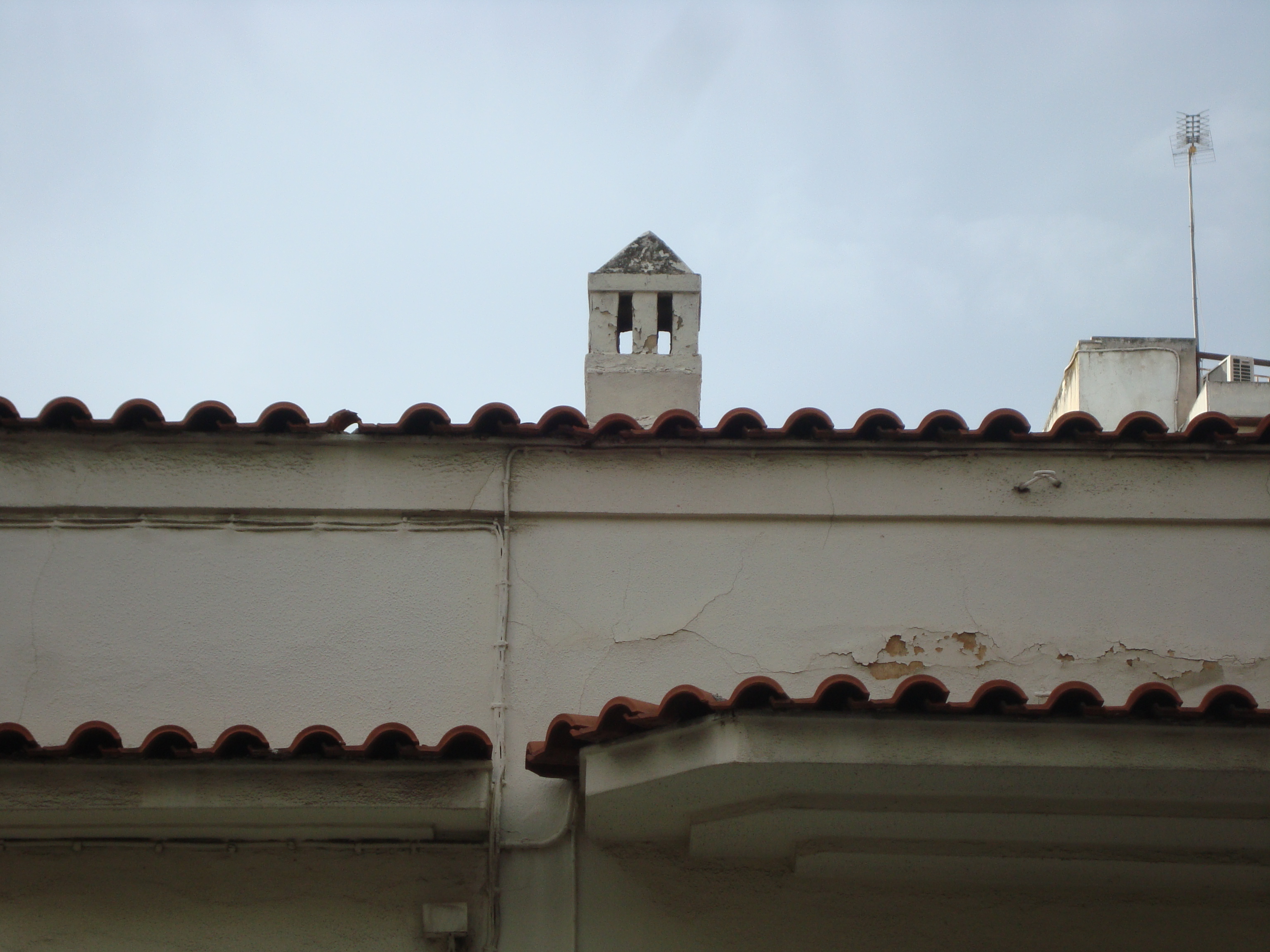 Flat roof detail (2015)