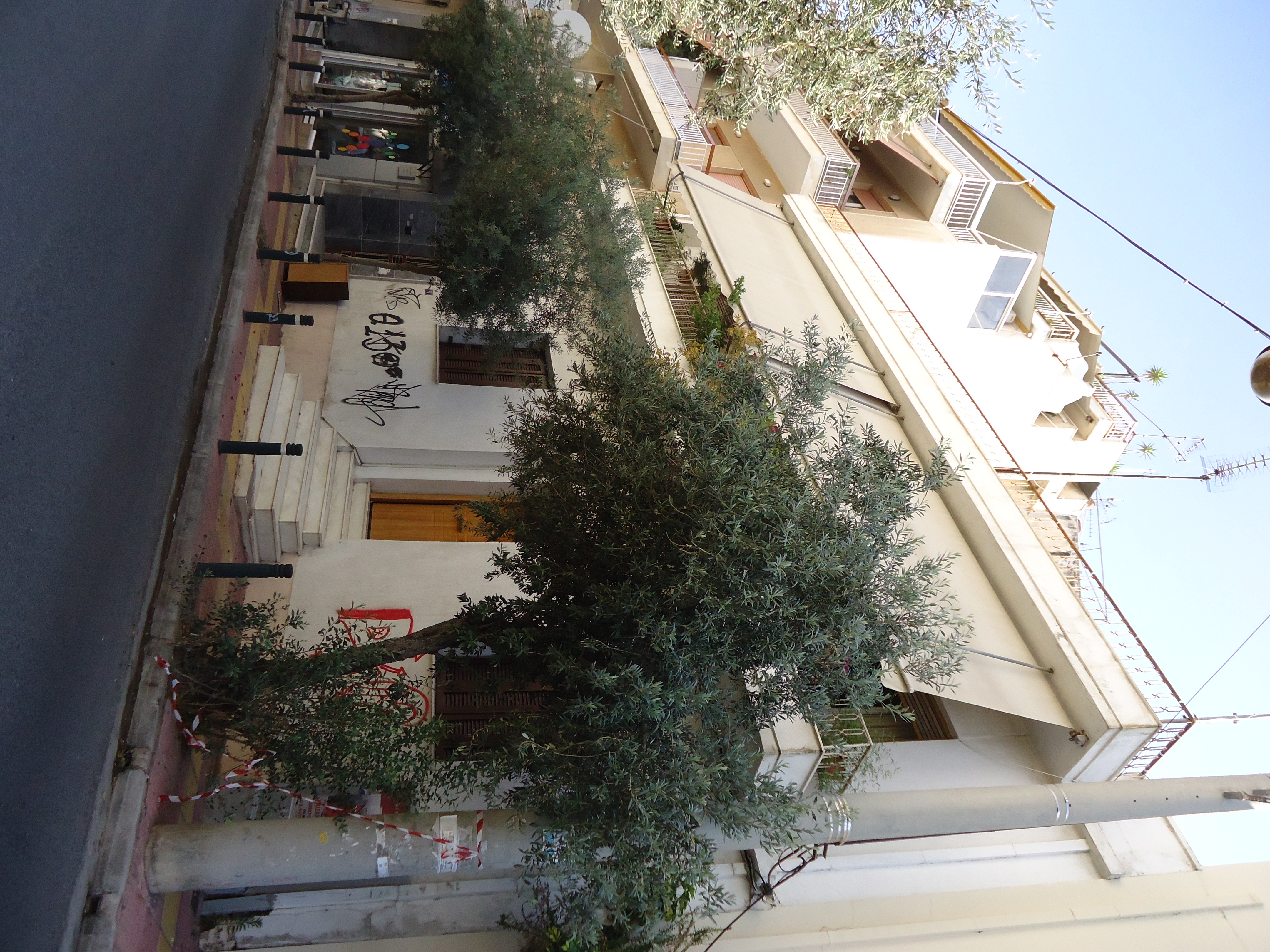 Γενική κύριας όψης