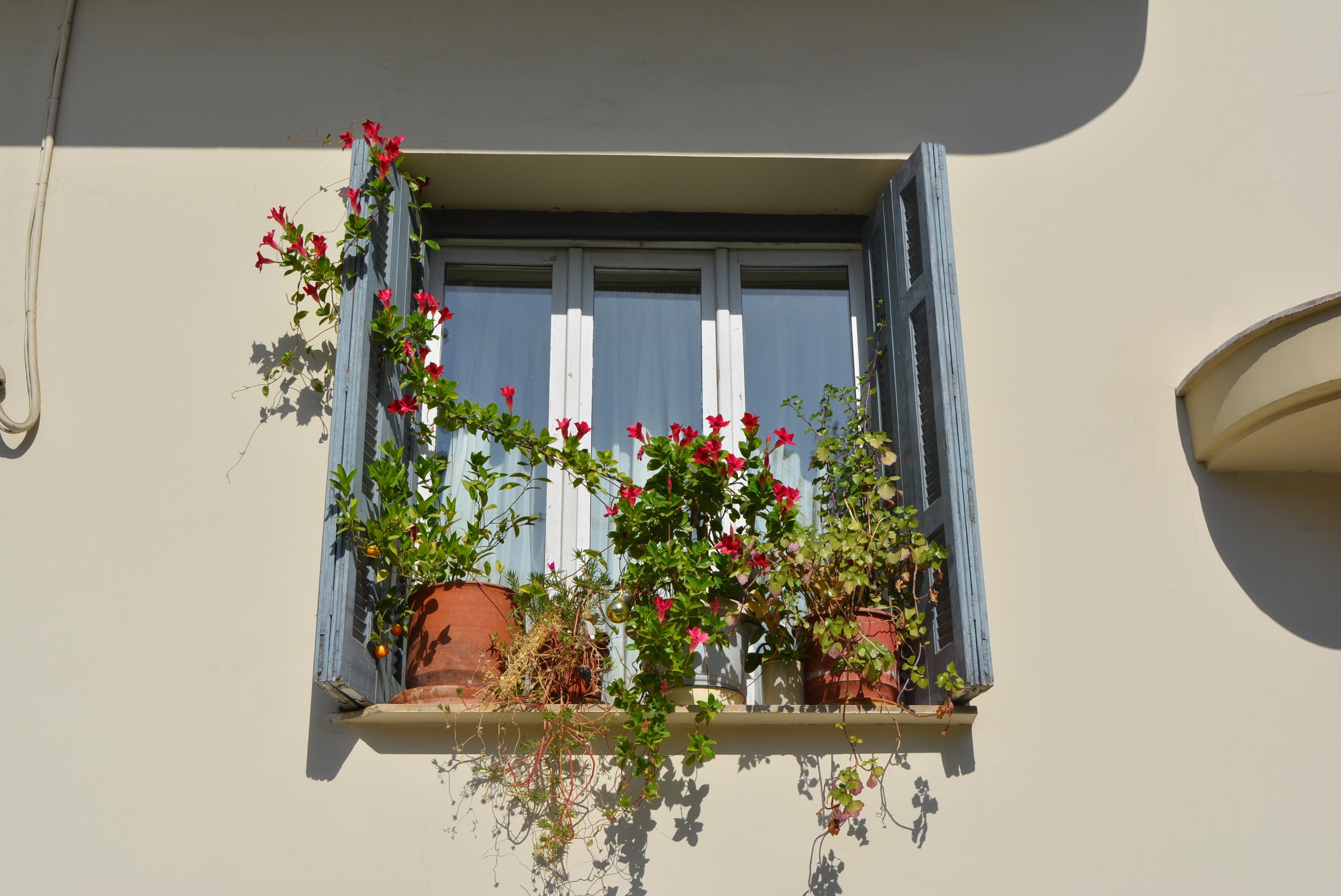 View of a window