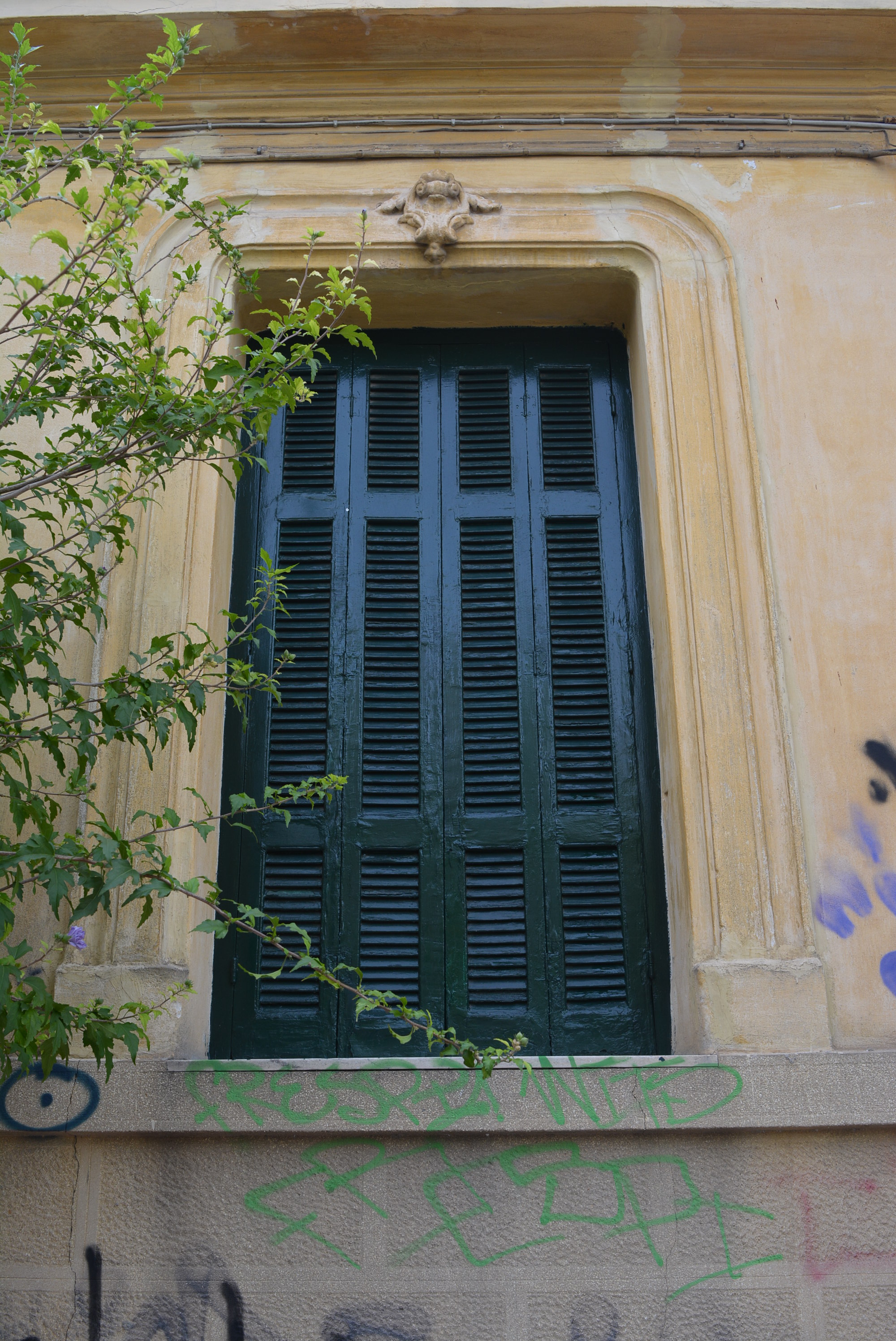 General view of window