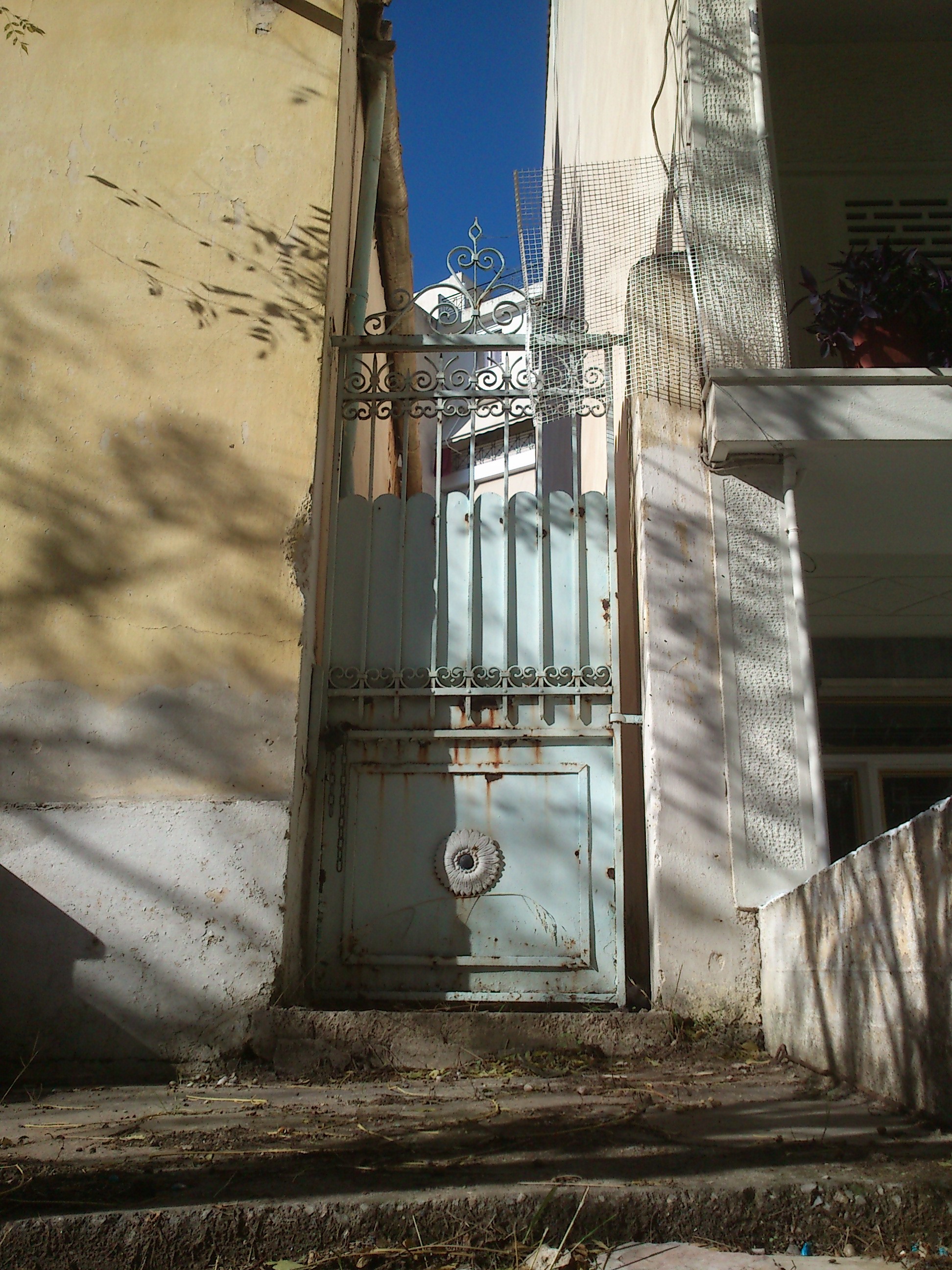 Γενική αυλόθυρας