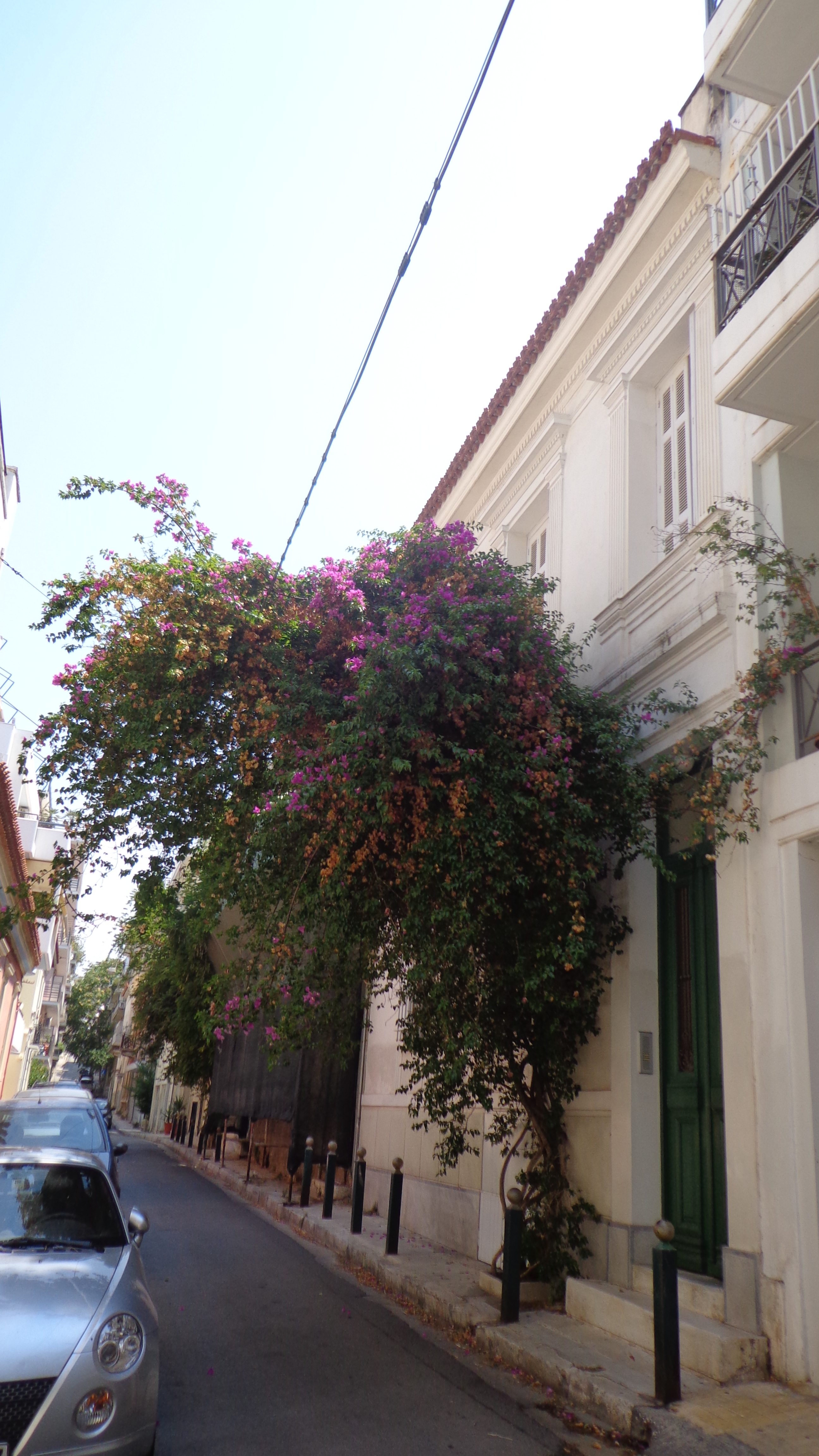 Γενική κύριας όψης