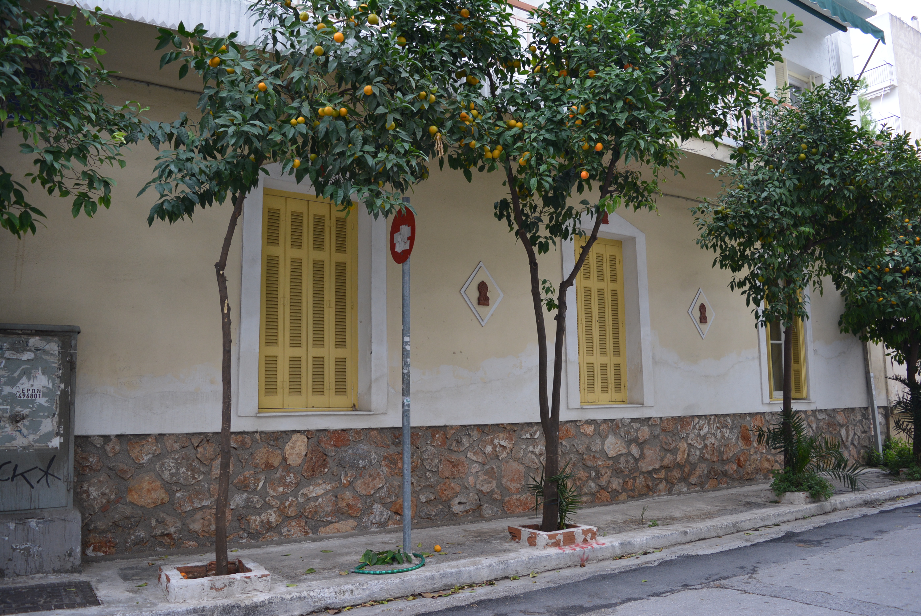 Λεπτομέρεια όψης