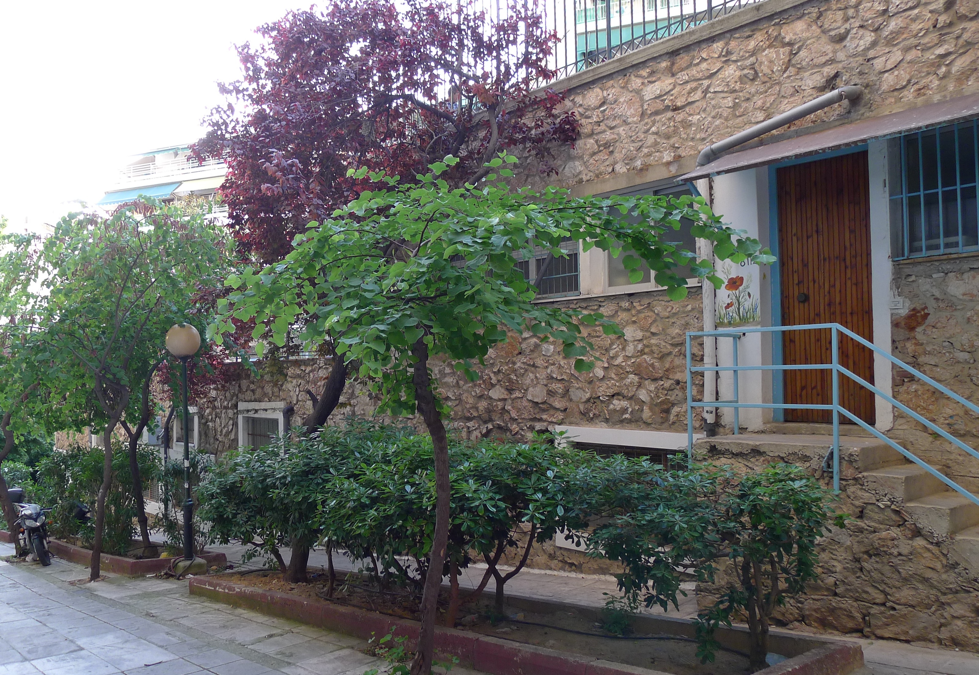 Γενική μαντρότοιχου