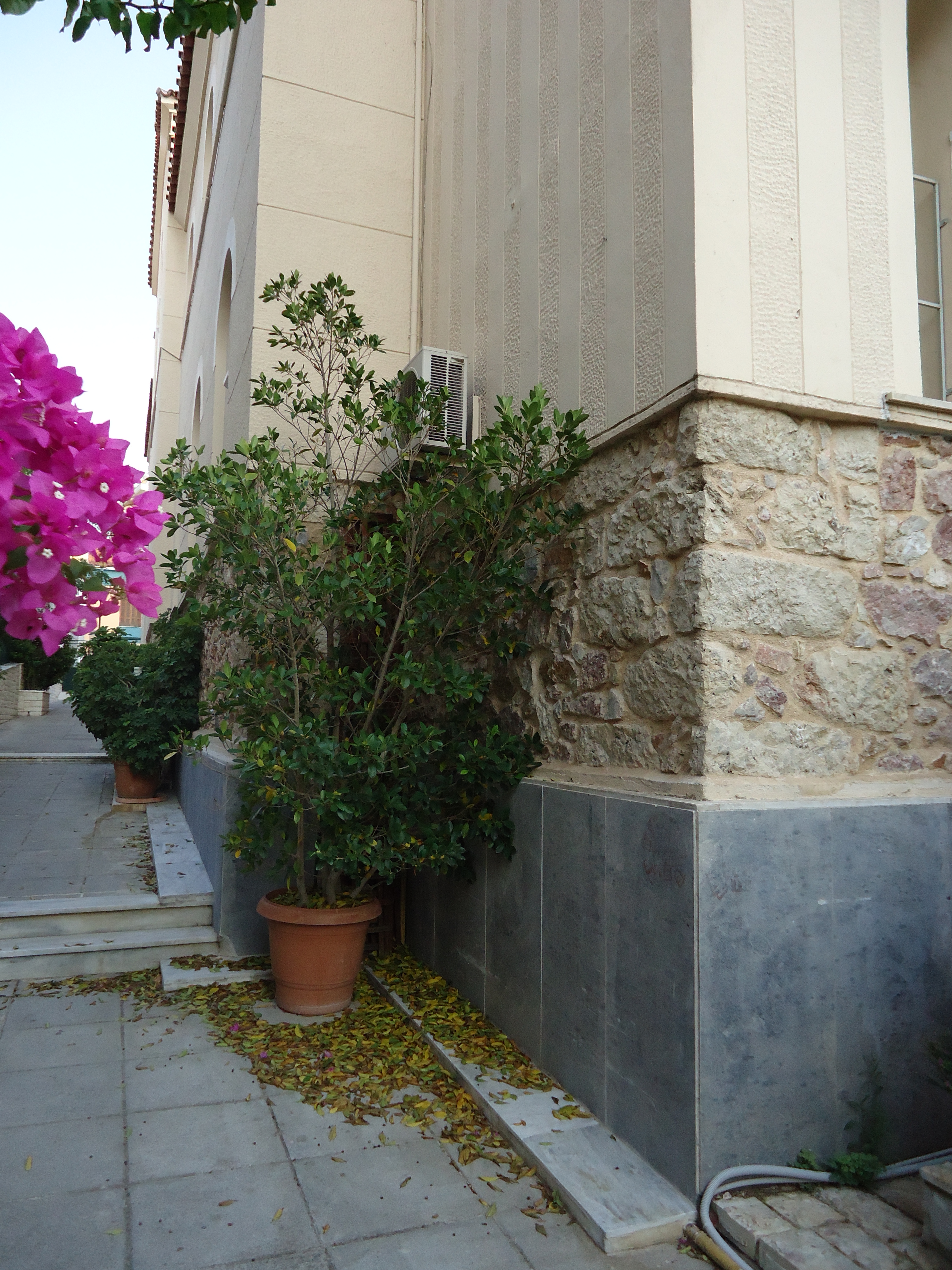 Detail of wall from main facade