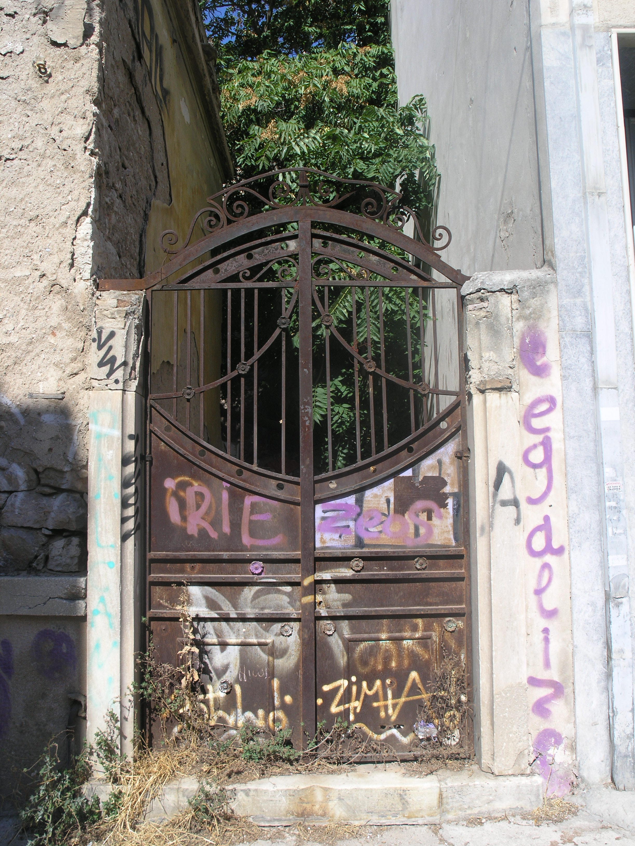 Γενική εισόδου