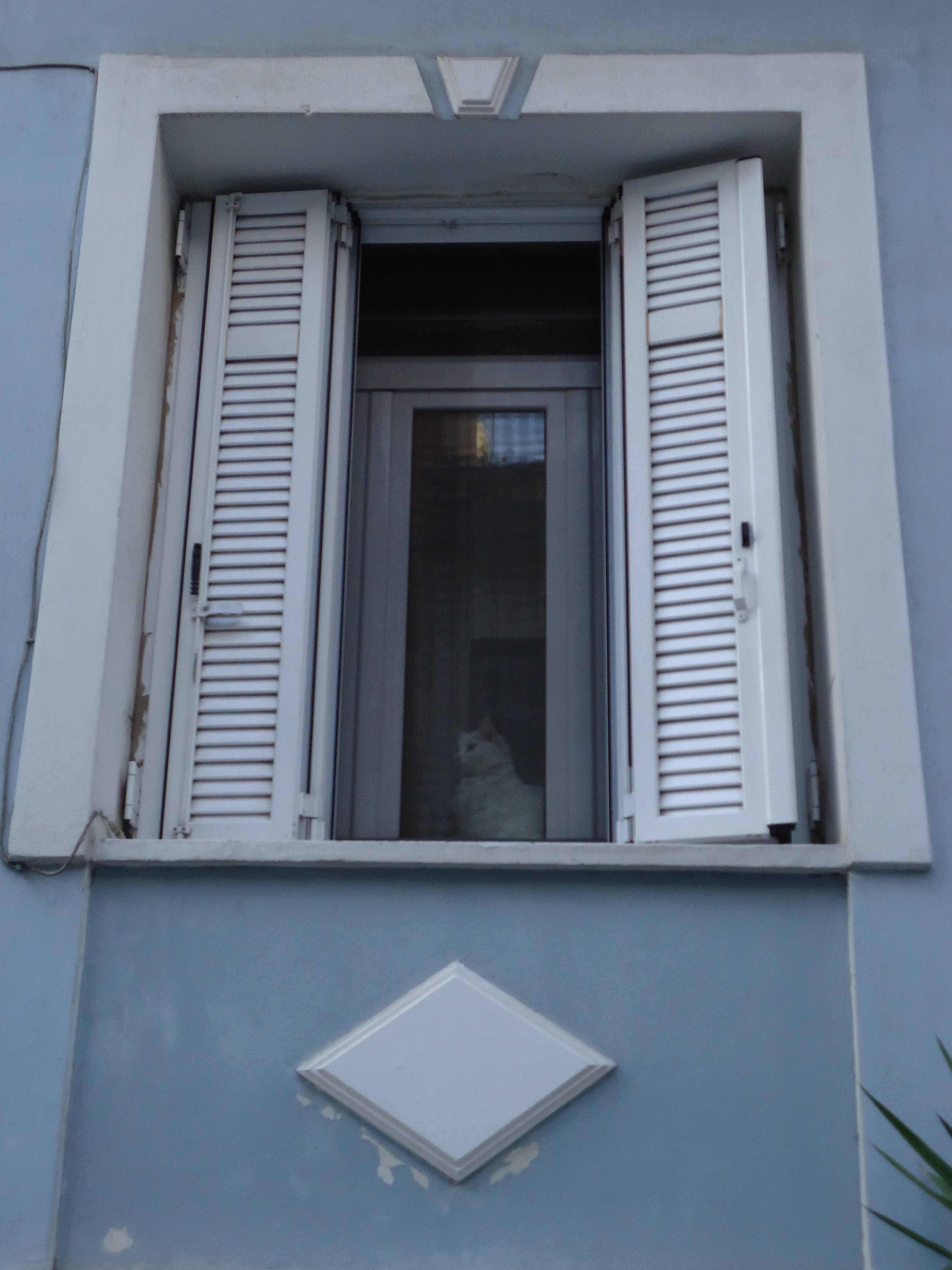 General view of window