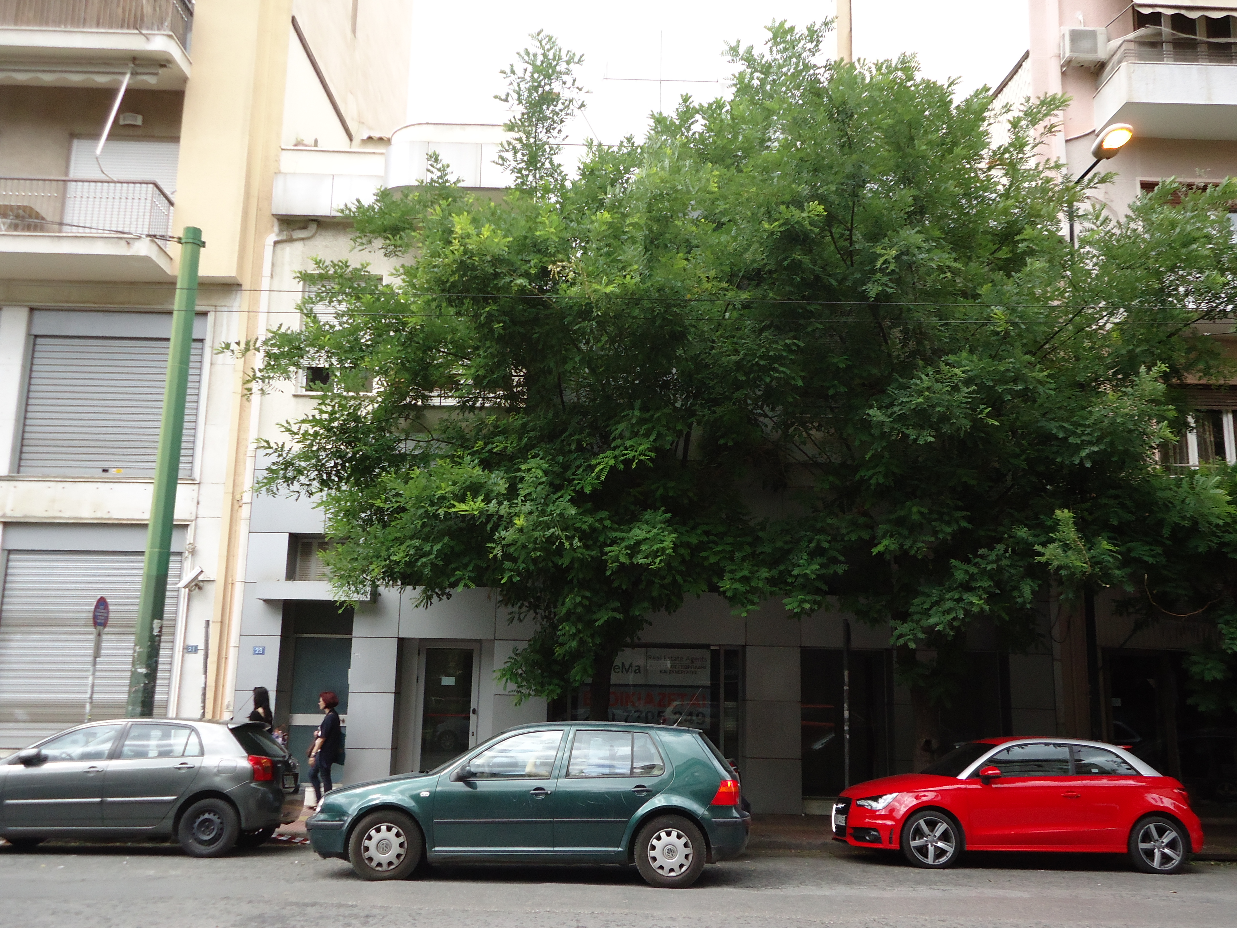 Γενική κύριας όψης