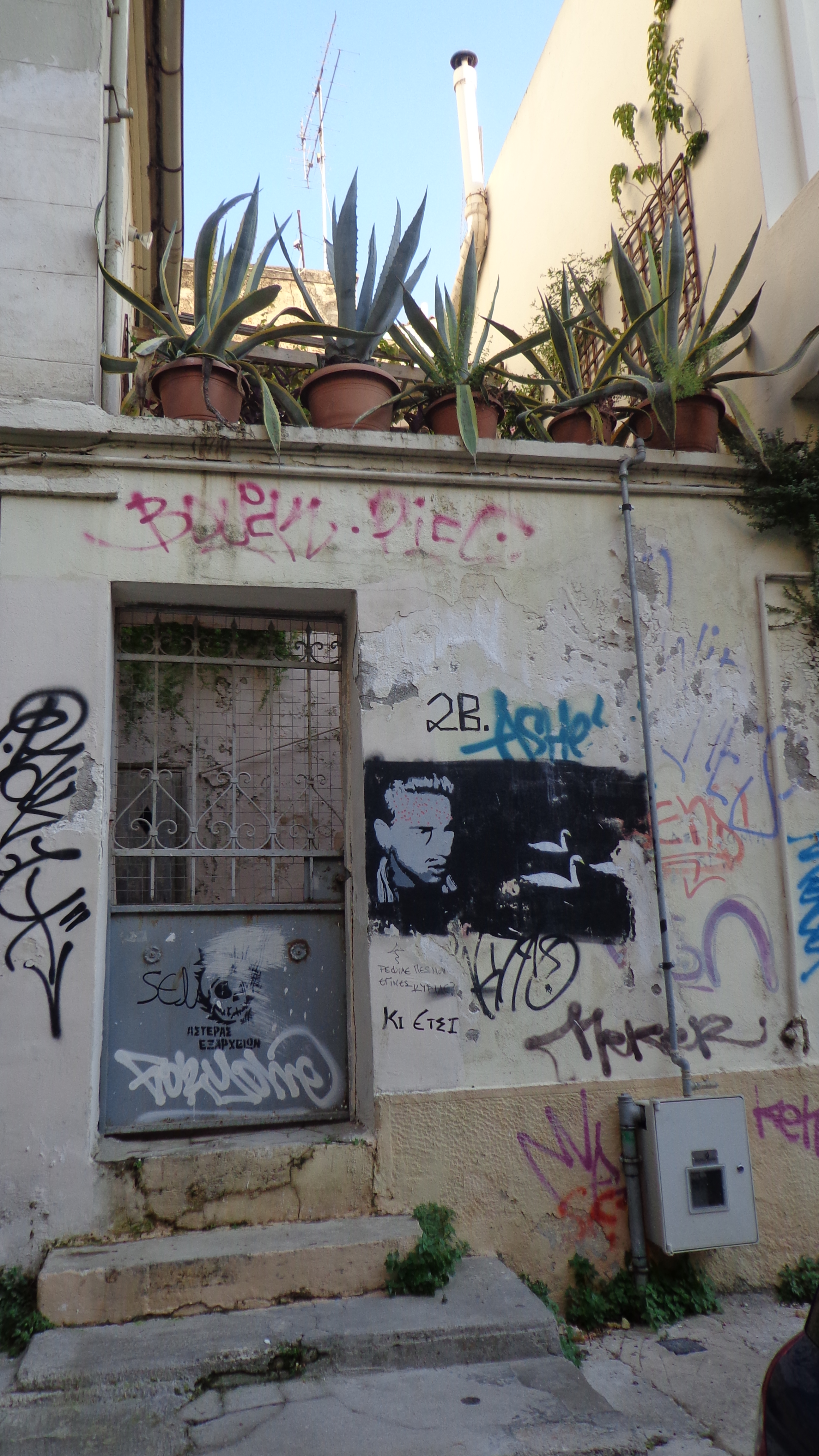 Γενική αυλόθυρας