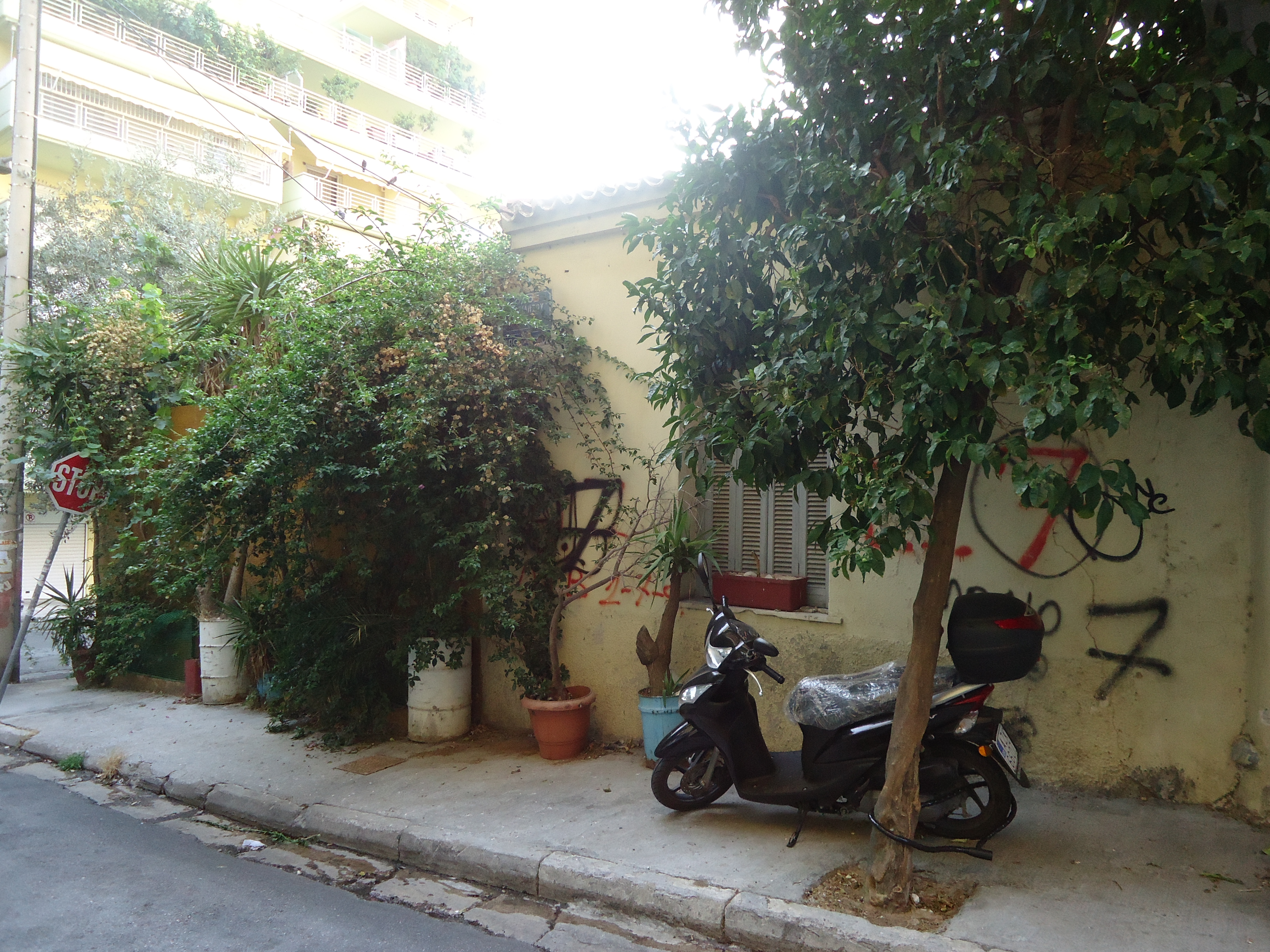Γενική πλάγιας όψης