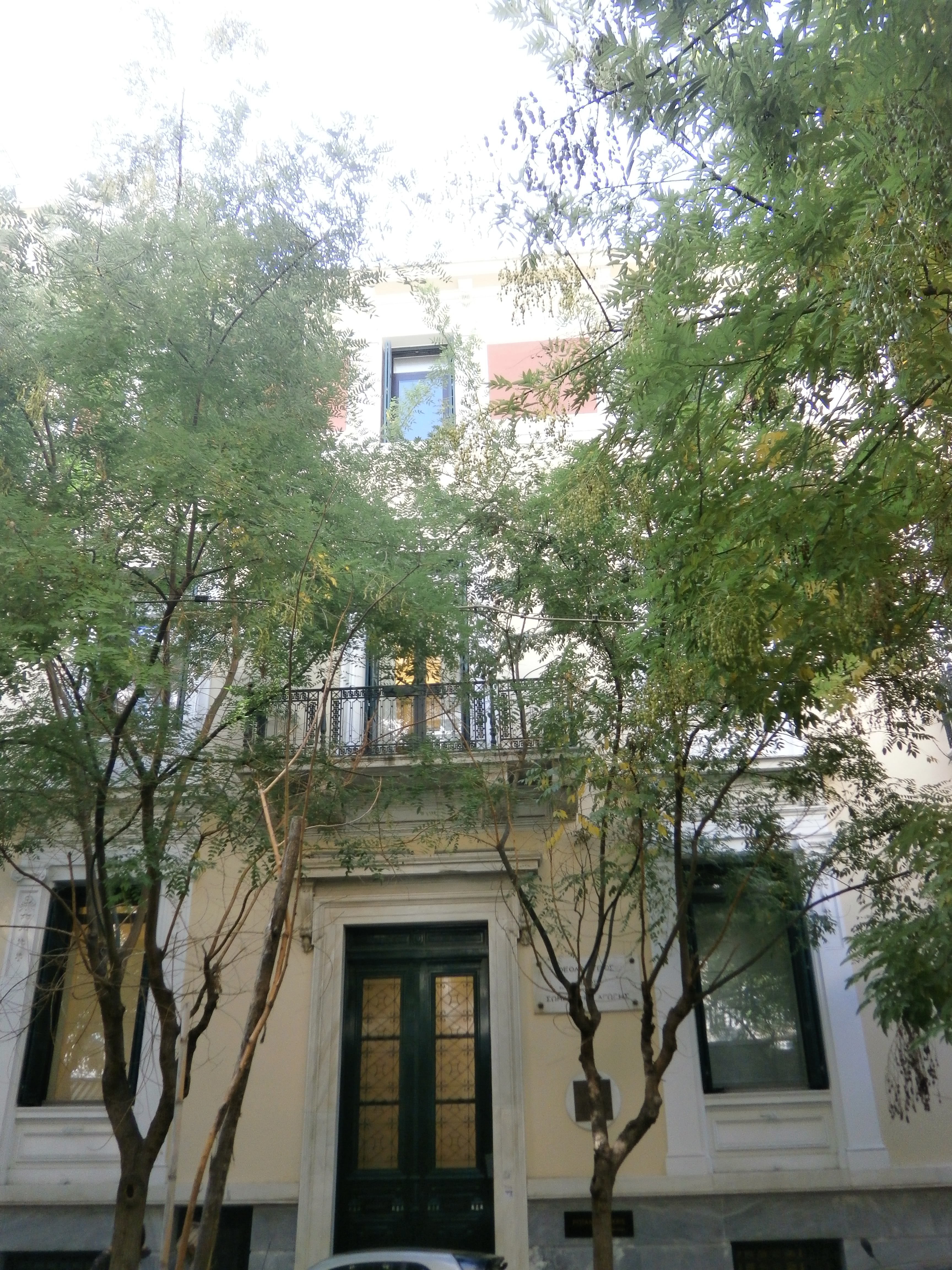 Λεπτομέρεια κύριας όψης